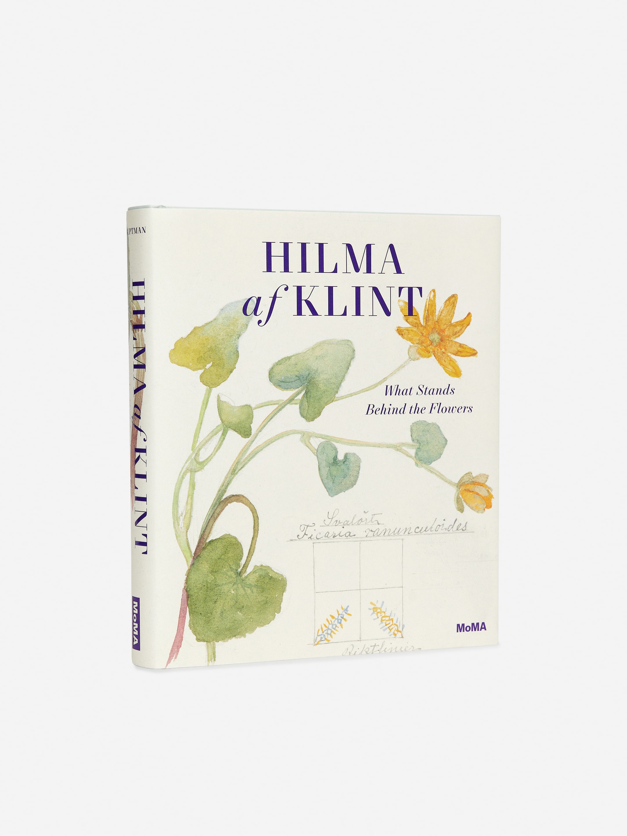 Hilma af Klint What Stands Behind the Flowers - Cremeweiß - Haushaltswaren - StillMedia/DescriptiveStillLife - 1