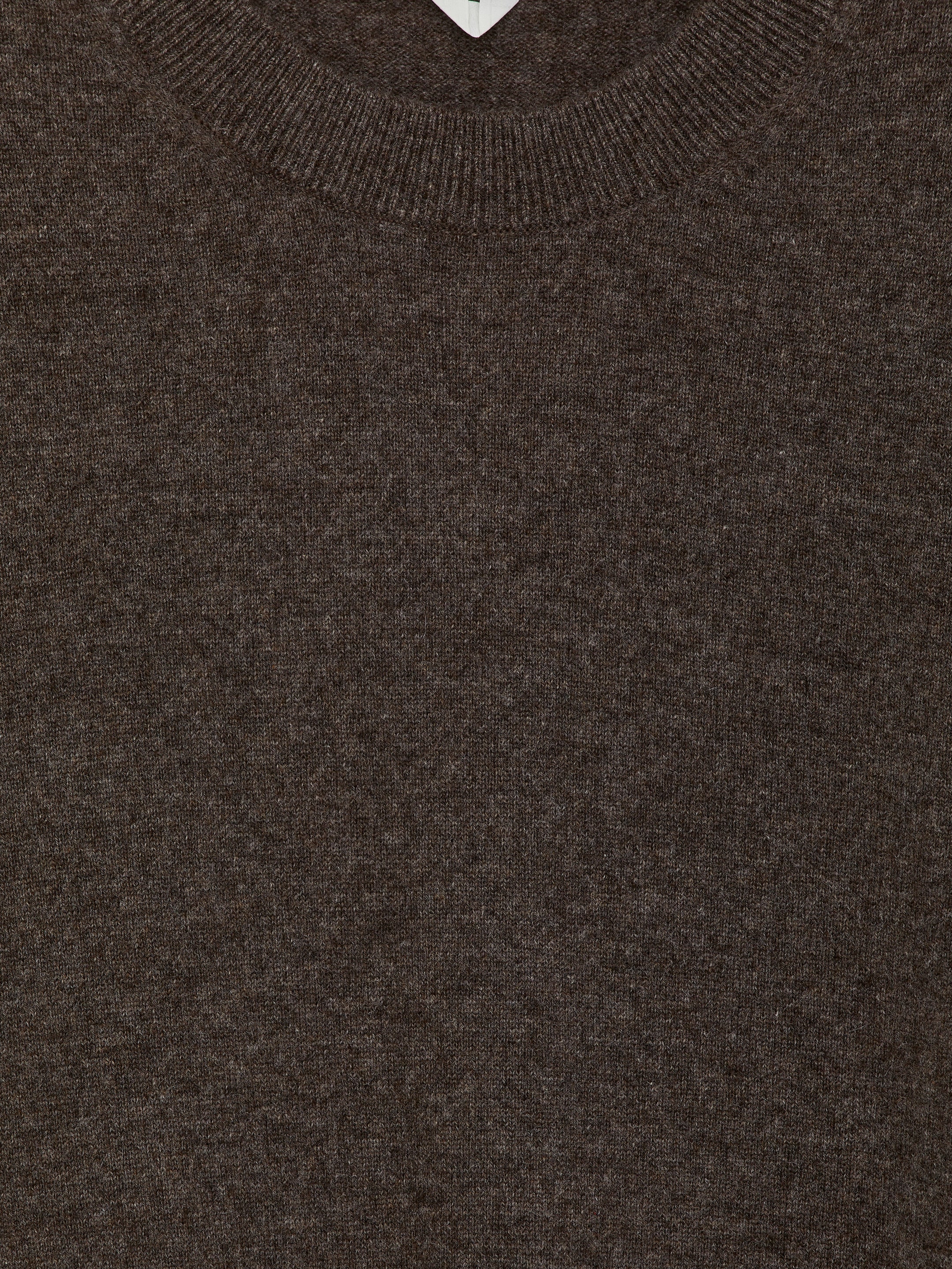 Pure Cashmere Crew-Neck Jumper - Brown - Regular fit - Men - StillMedia/DescriptiveDetail - 1