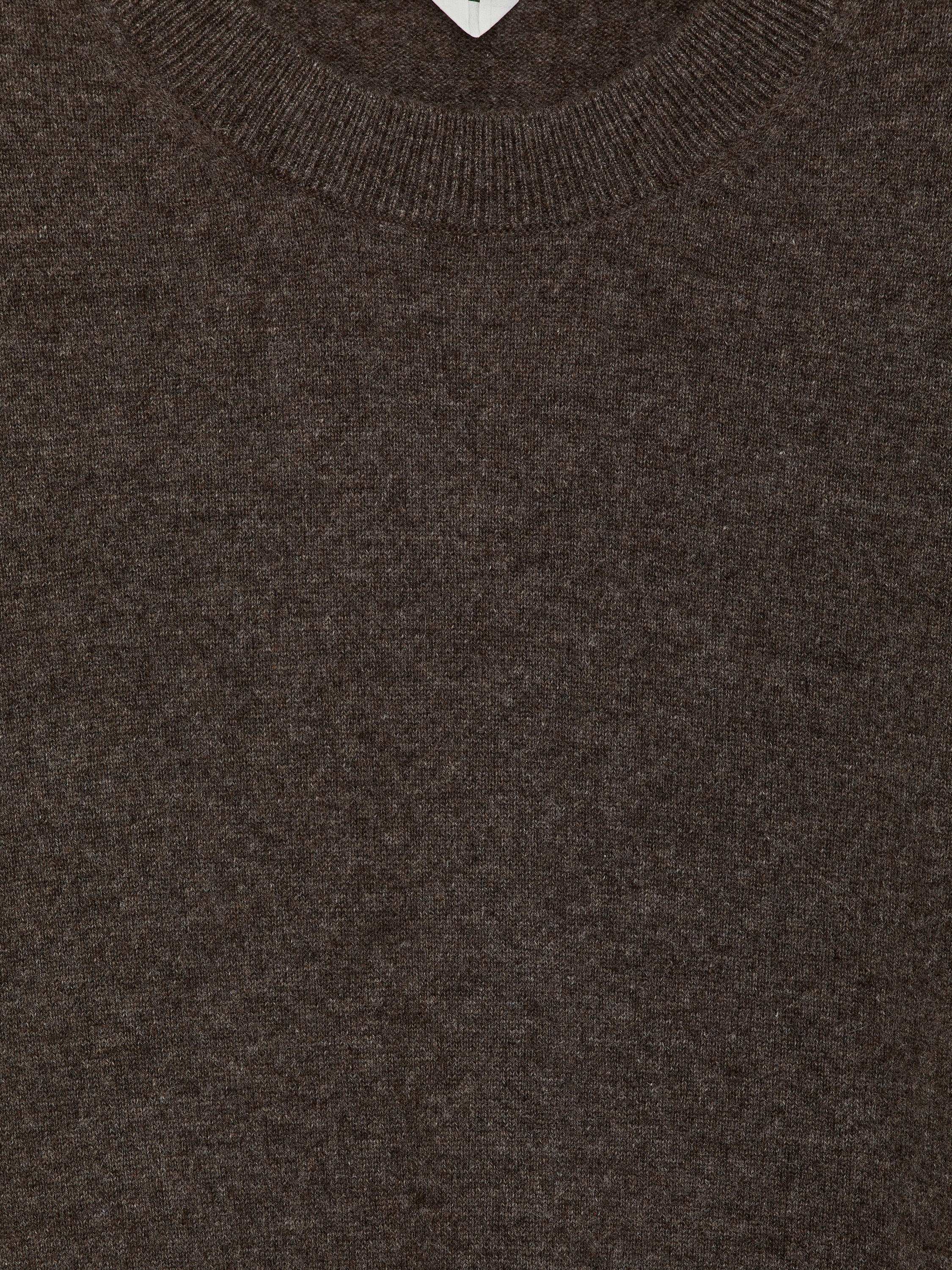 Pure Cashmere Crew Neck Jumper - Brown - Regular fit - Men - StillMedia/DescriptiveDetail - 1