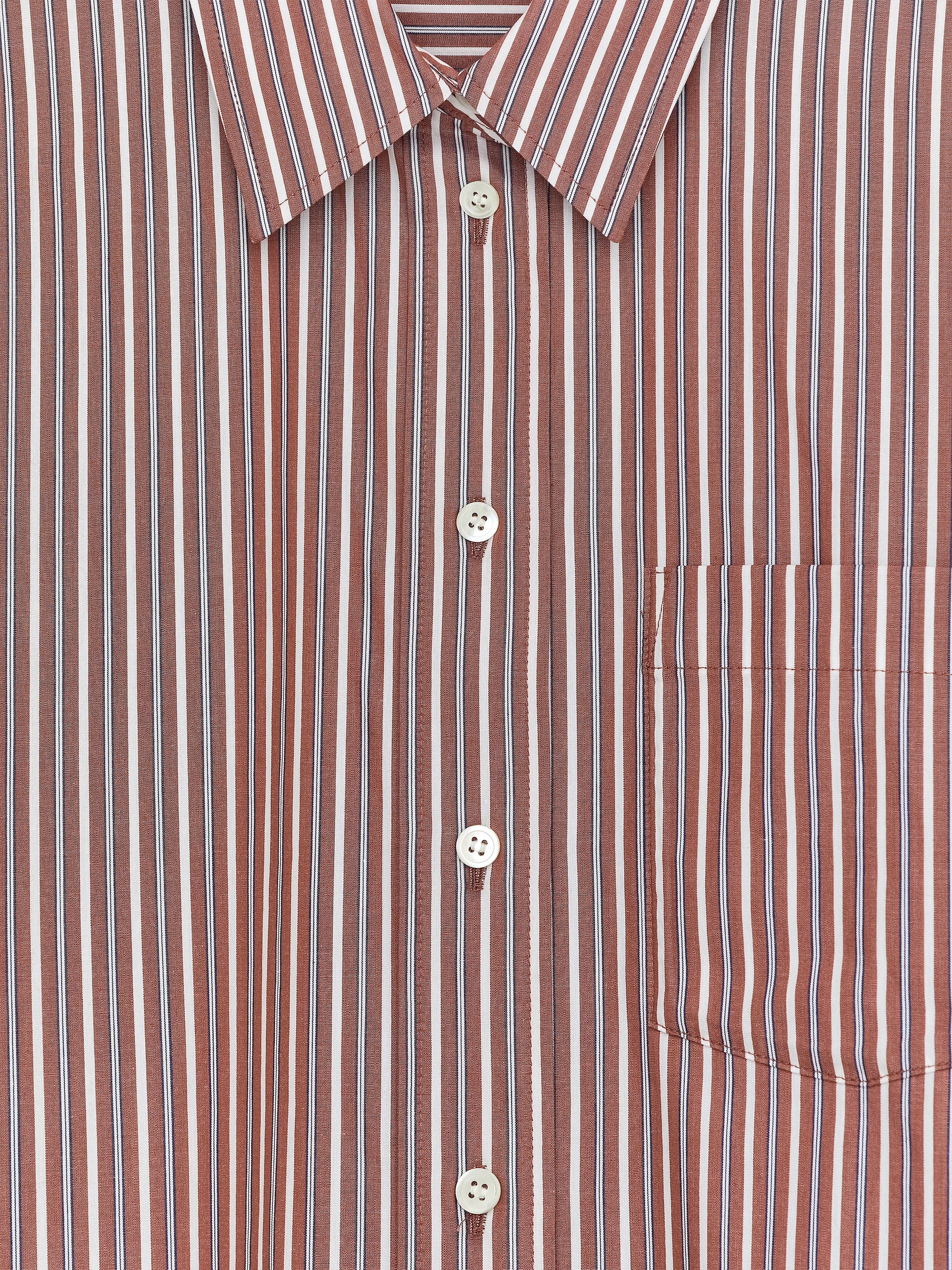 Cotton Shirt - Brown/White - Regular fit - Women - StillMedia/DescriptiveDetail - 1