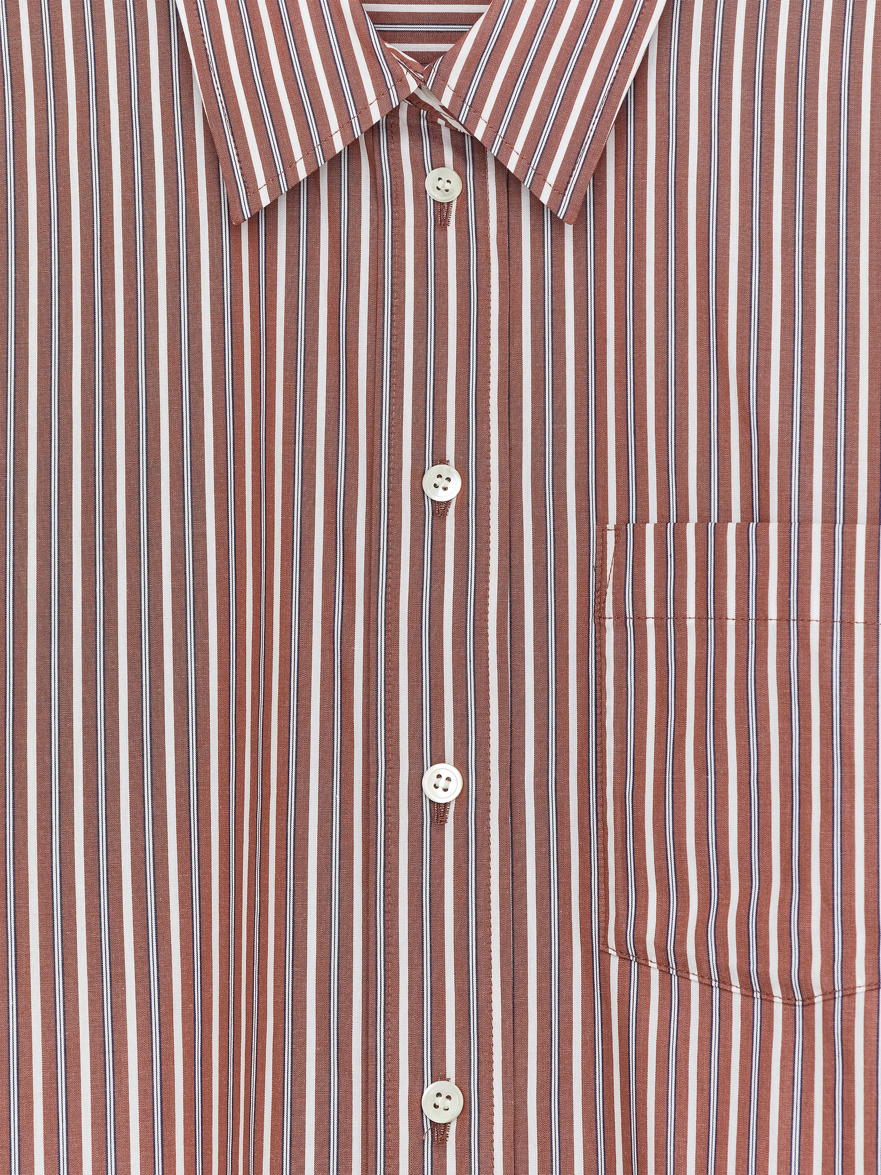 Cotton Shirt - Brown/White - Regular fit - Women - StillMedia/DescriptiveDetail - 1