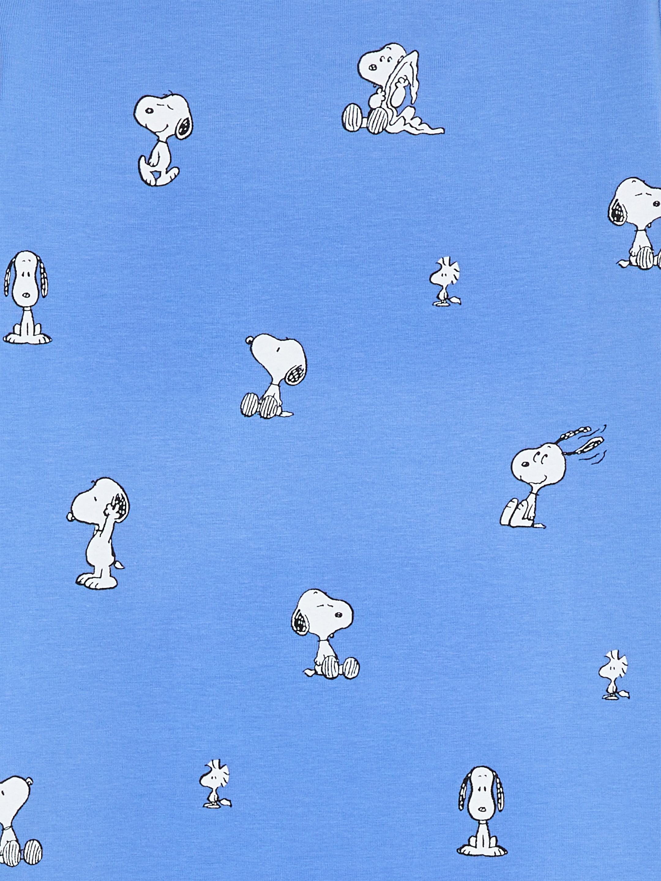 Conjunto de pijama de Snoopy - Azul - Corte estándar - Children - StillMedia/DescriptiveDetail - 1