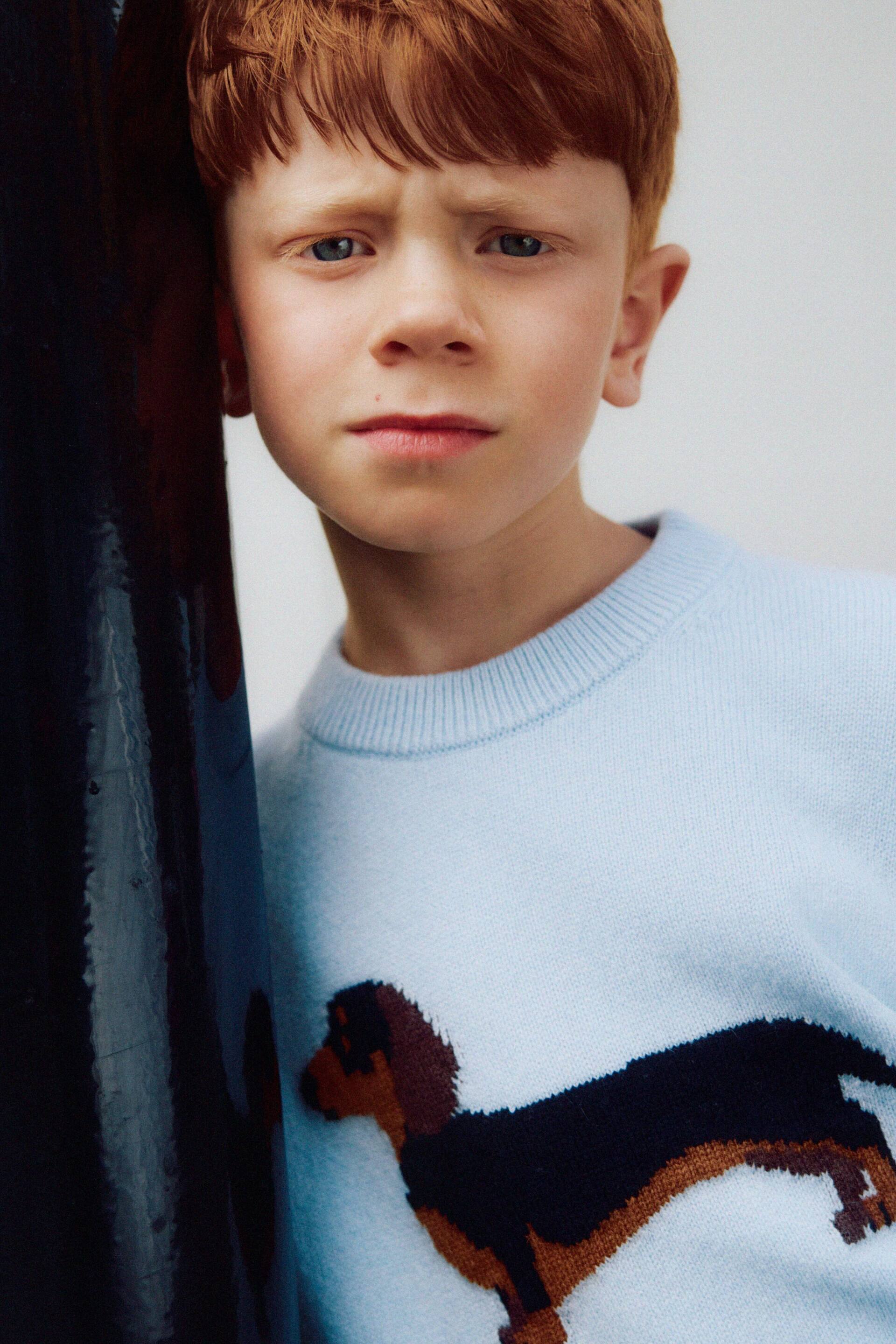 View larger image: A light blue knitted jumper is shown from the front, featuring a ribbed crew neck and a prominent intarsia-knit dachshund motif across the chest. The close-up view highlights the fine knitted texture and the structure of the neckline.