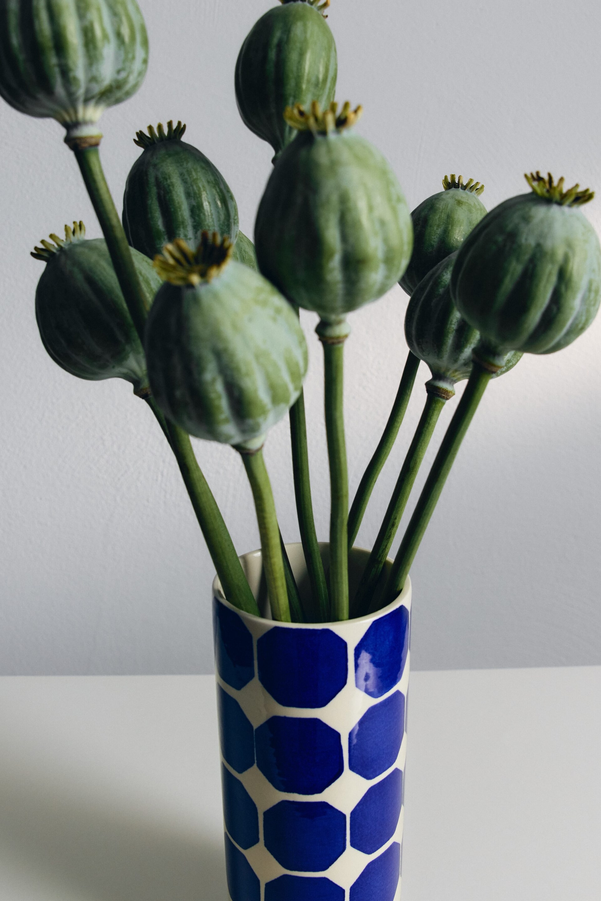 Größeres Bild ansehen: Eine zylindrische Vase zeigt auf weißem Hintergrund ein Muster aus ineinandergreifenden geometrischen Formen in verschiedenen Blautönen. Sie hält mehrere grüne Mohnkapseln, die sich aus ihrer Öffnung nach oben erstrecken.