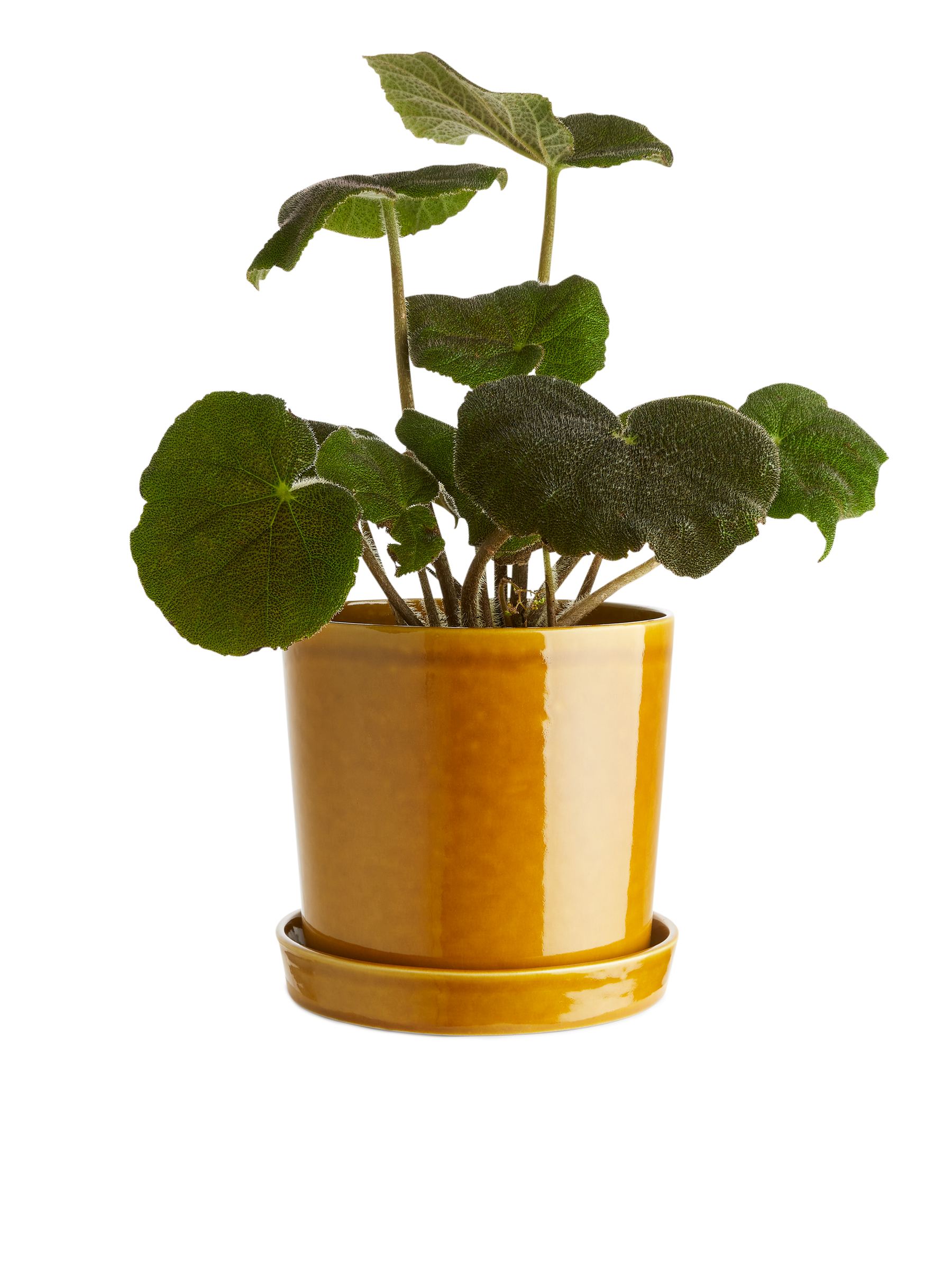 Stoneware Pot 22 cm - Yellow - Homeware - StillMedia/CreativeStillLife - 1