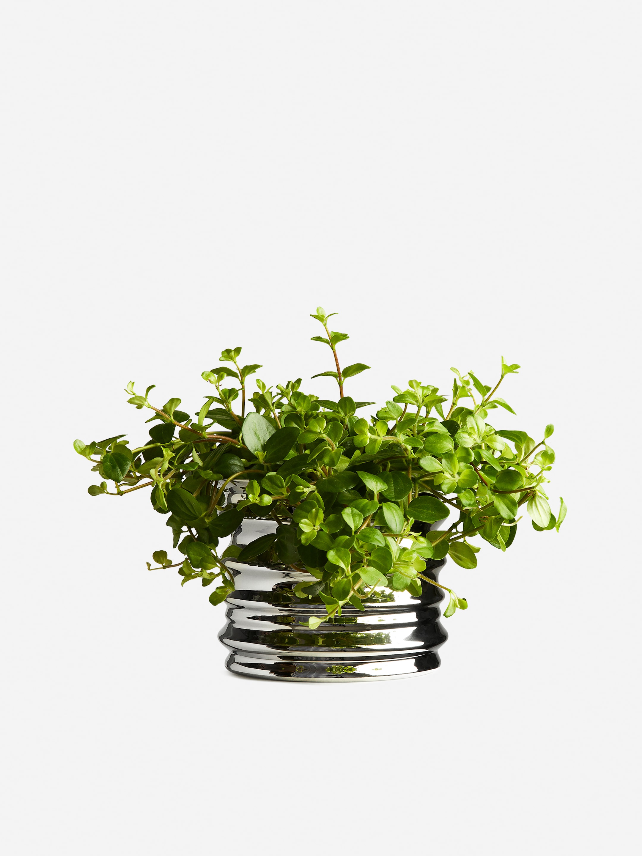 Metal Flower Pot 11 cm-#DFDEDE-14329