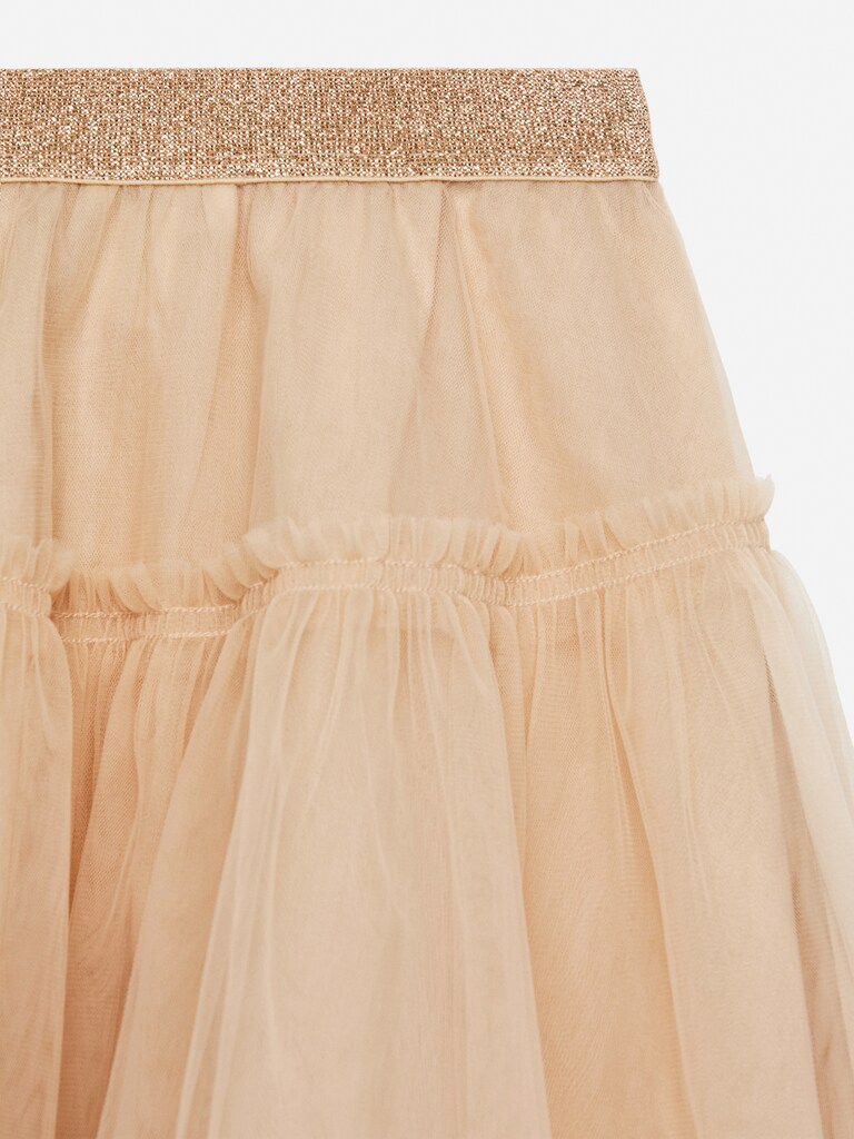 Tulle Skirt