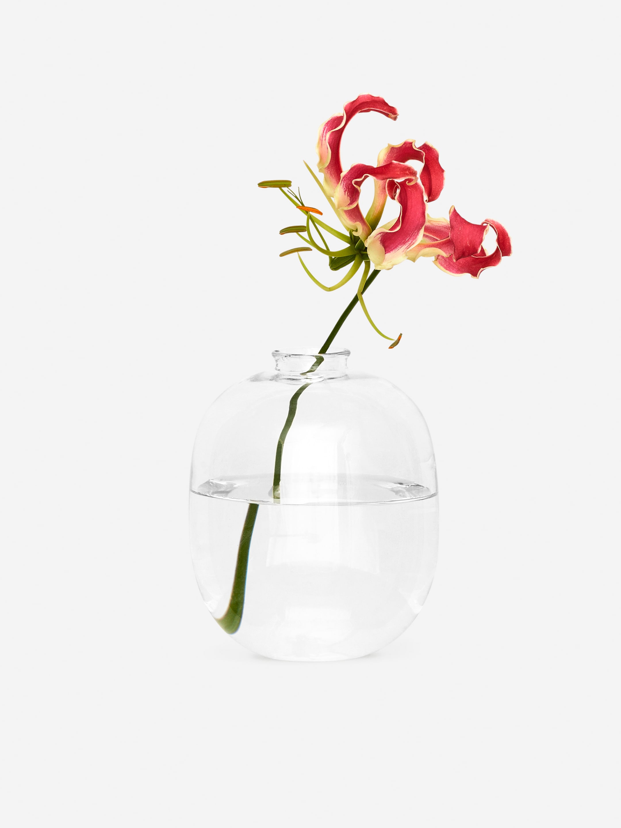 Glass Vase 12 cm - Clear - Homeware - StillMedia/DescriptiveStillLife - 6