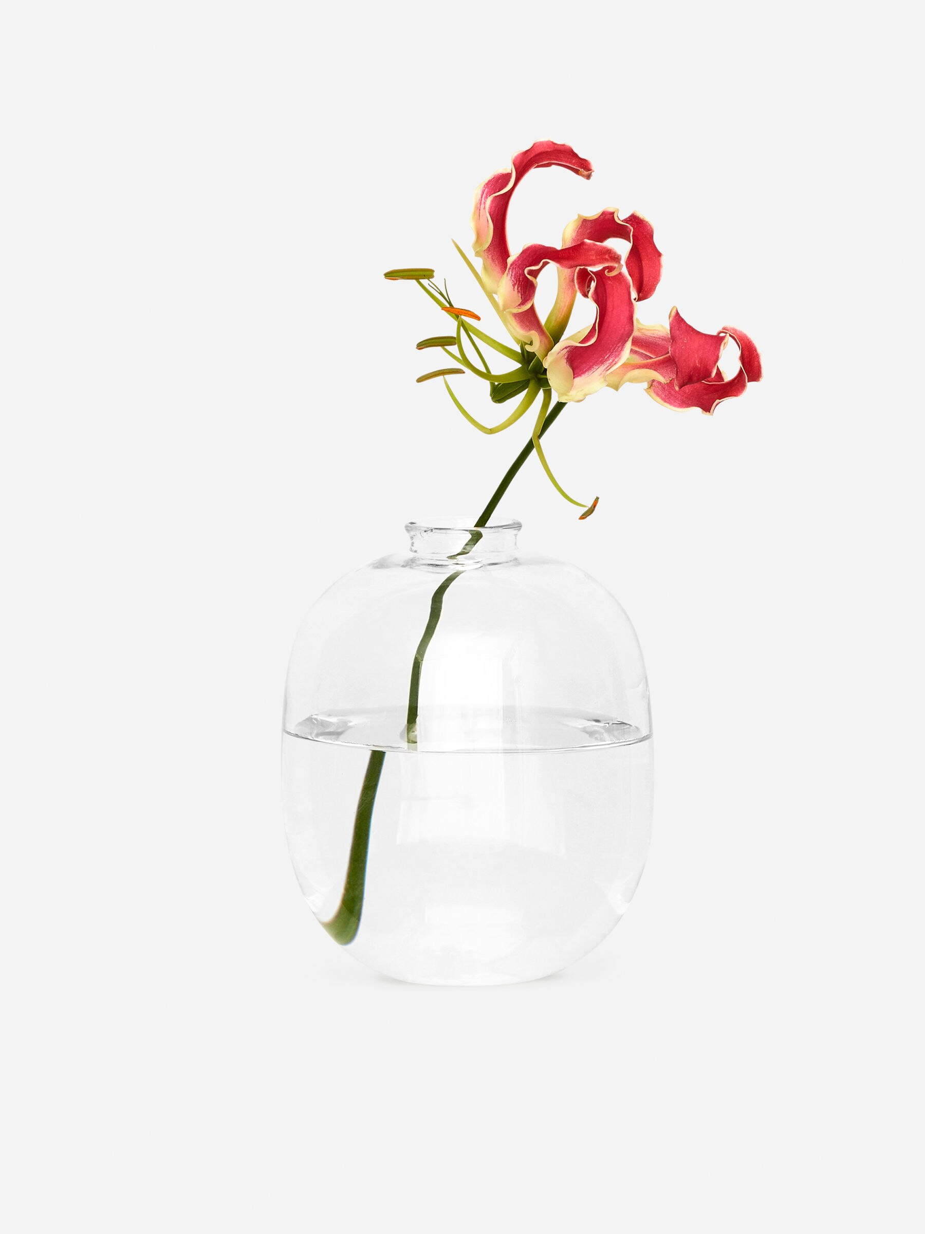 Glasvase, 12 cm - Transparent - Haushaltswaren - StillMedia/DescriptiveStillLife - 6