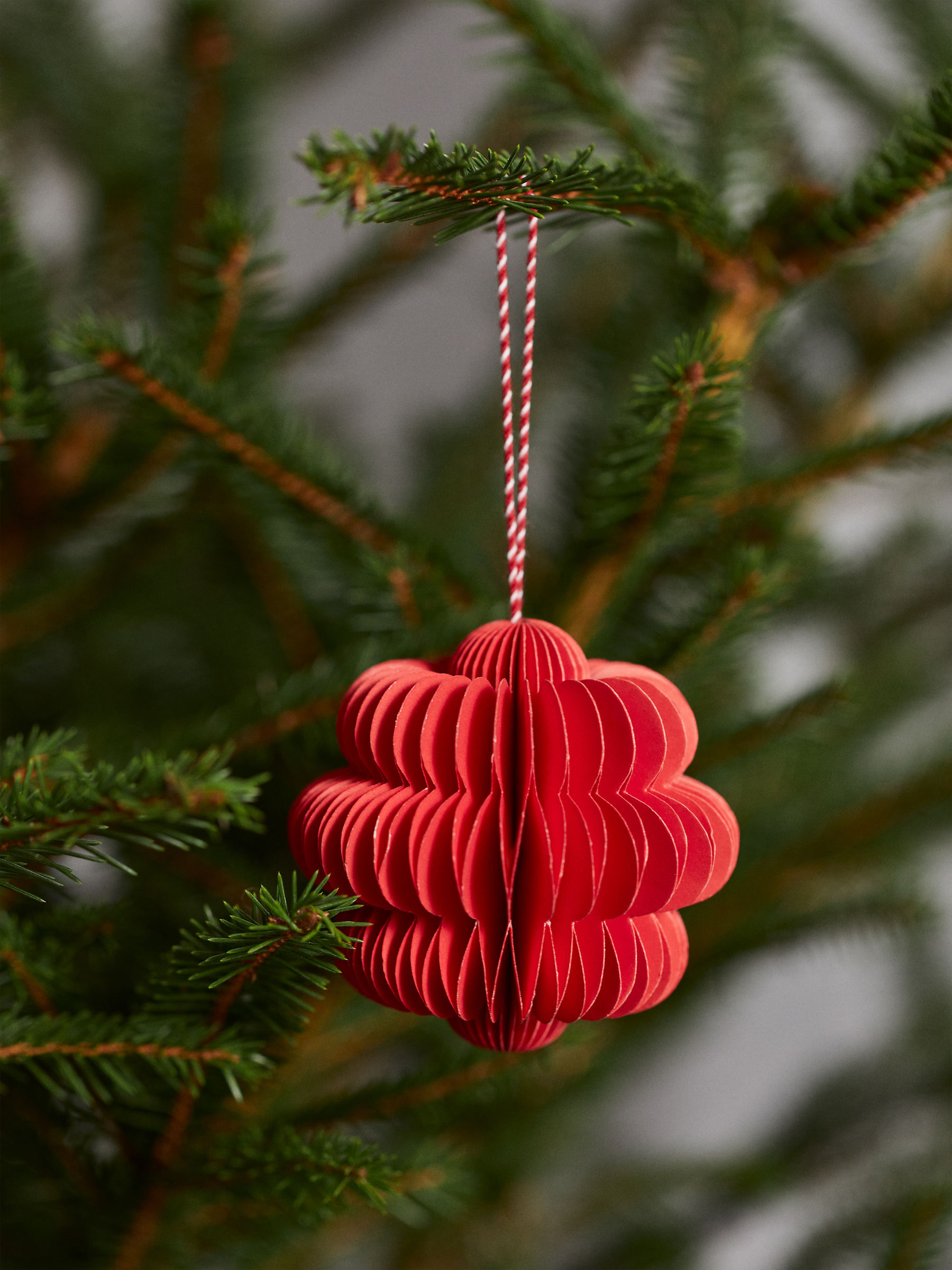 Honeycomb Ornaments Set of 2 - Red - Homeware - StillMedia/DescriptiveStillLife - 2