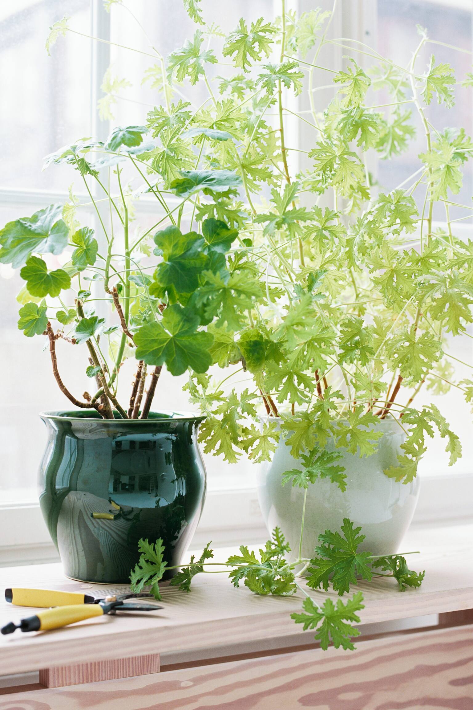 Kruka i stengods-Ljusgrön - 2