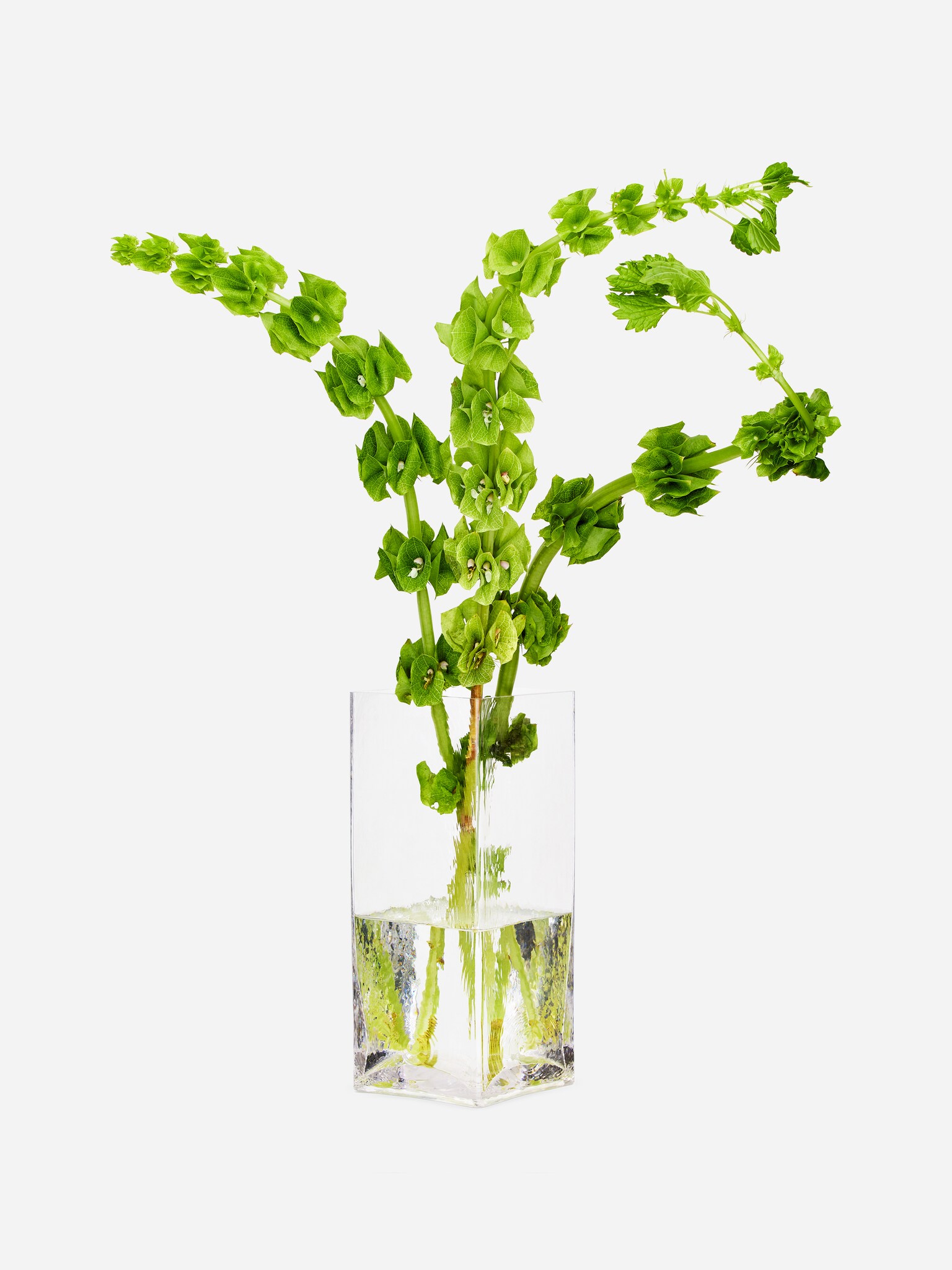 Vaso in vetro da 26 cm - Trasparente