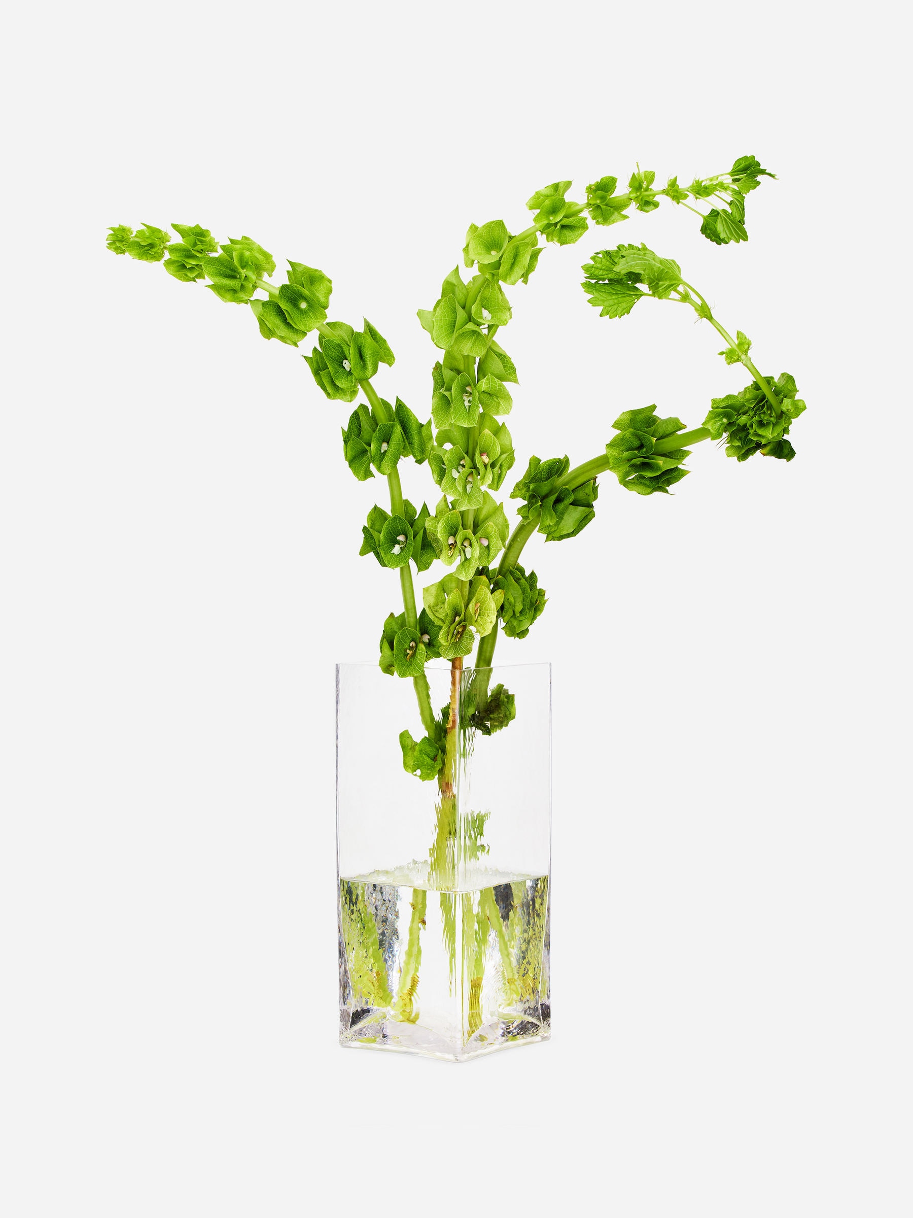 Glass Vase 26 cm-#FFFFFF-14539