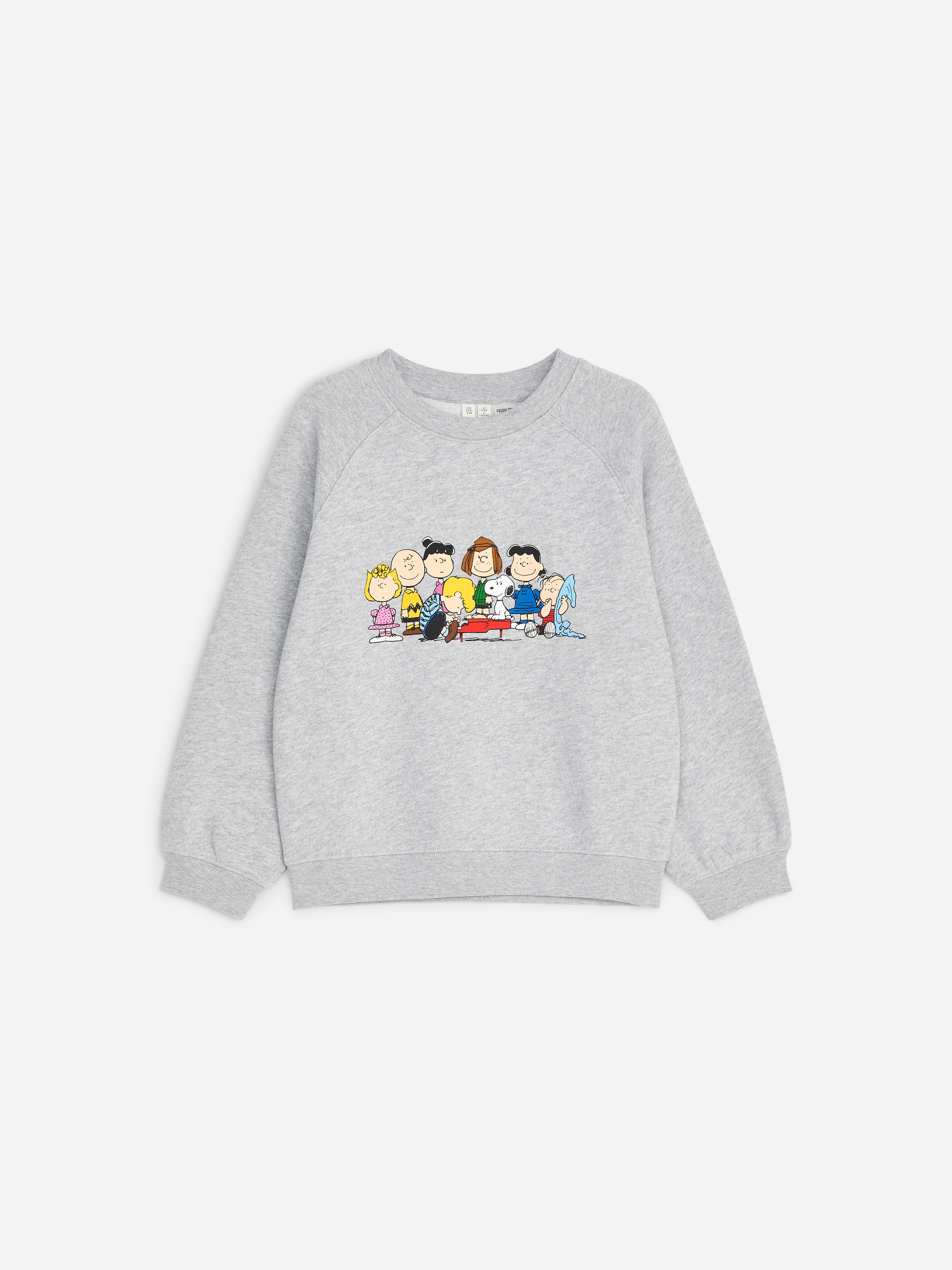 Peanuts Sweatshirt-Grey-19992