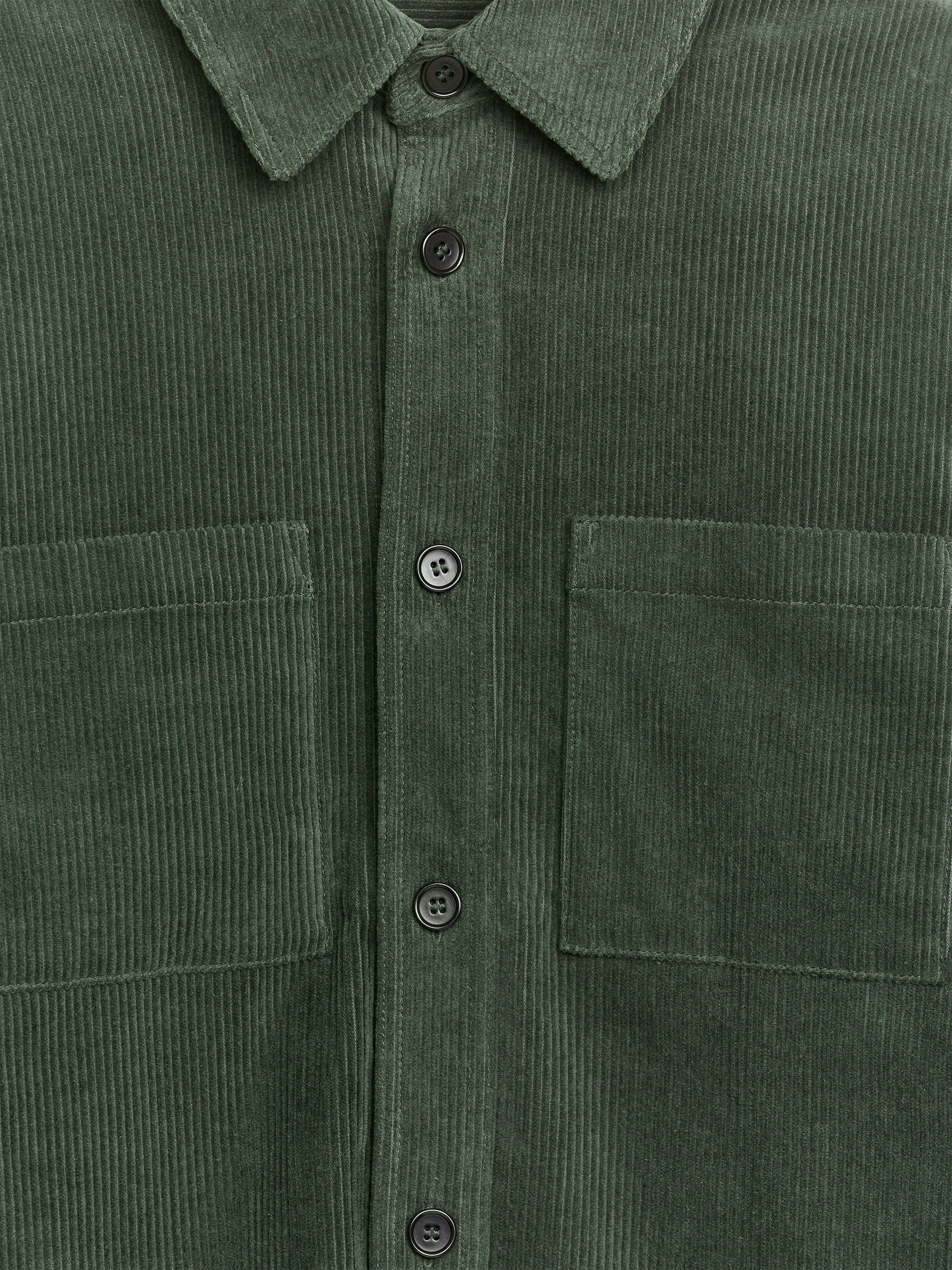 Sobrecamisa de pana - Verde oscuro - Corte estándar - Men - StillMedia/DescriptiveDetail - 2