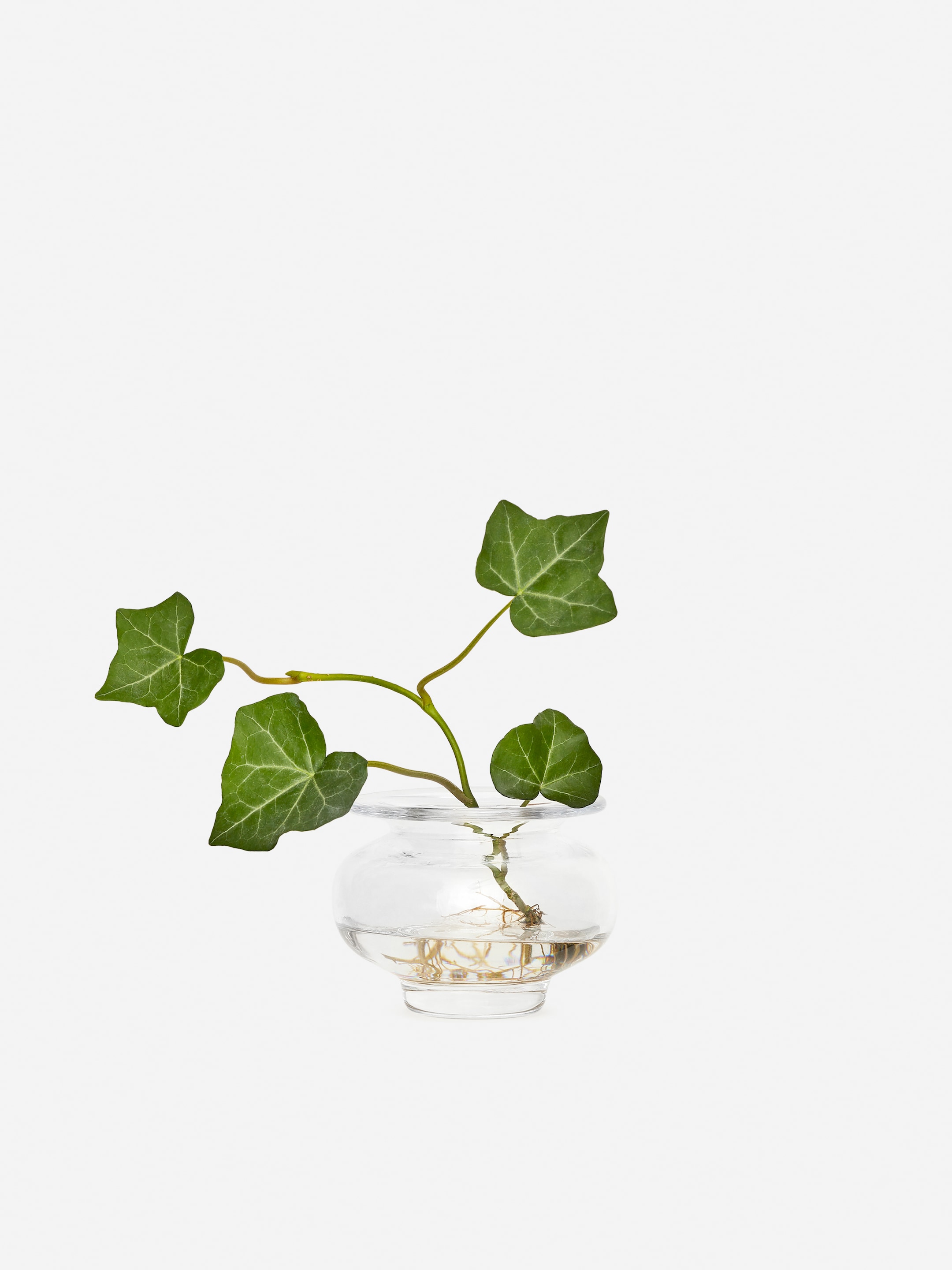 Szklany świecznik - Przezroczyste szkło - Homeware - StillMedia/DescriptiveStillLife - 2