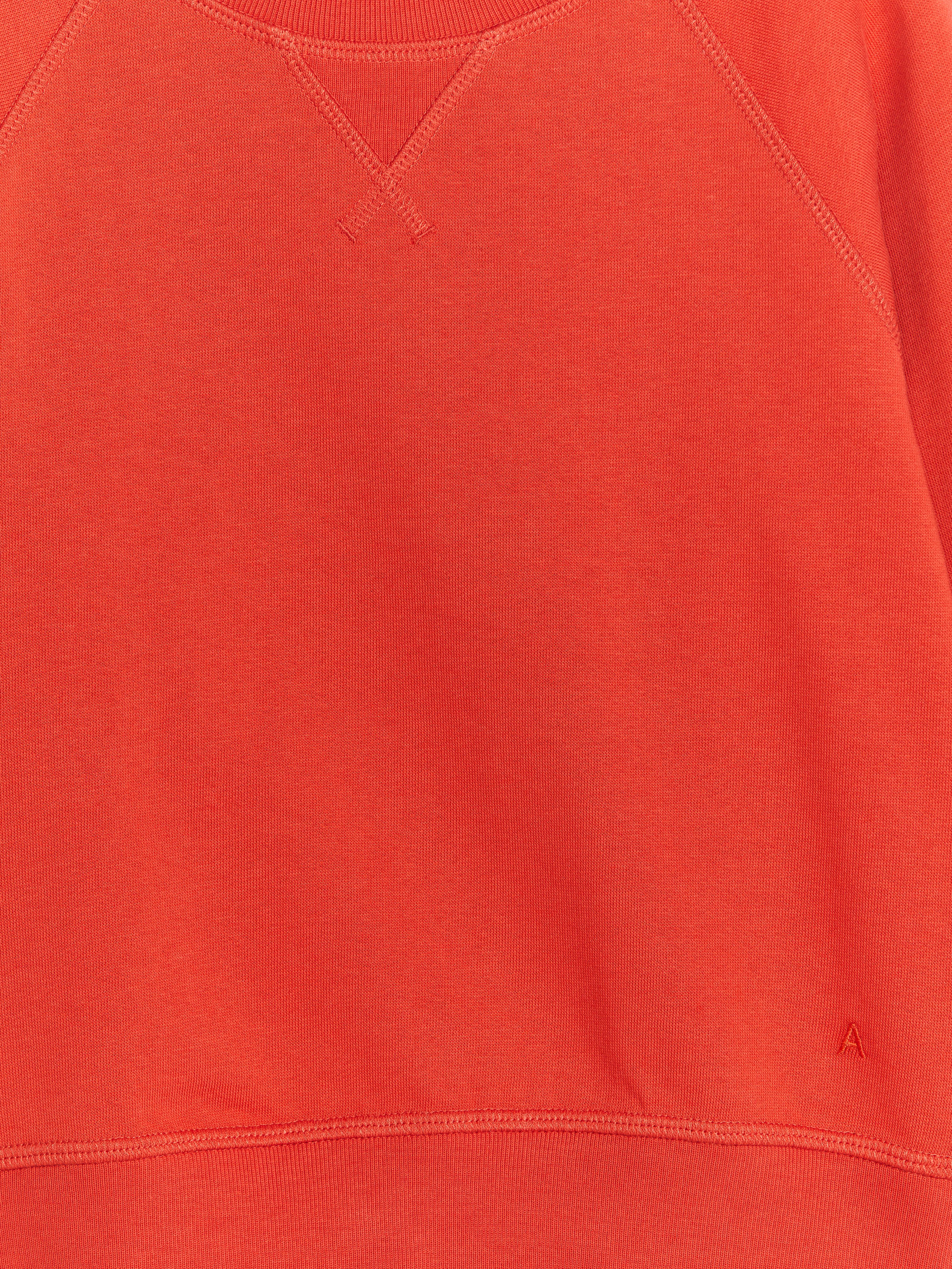 Cotton Sweatshirt - Orange - Regular fit - Children - StillMedia/DescriptiveDetail - 3