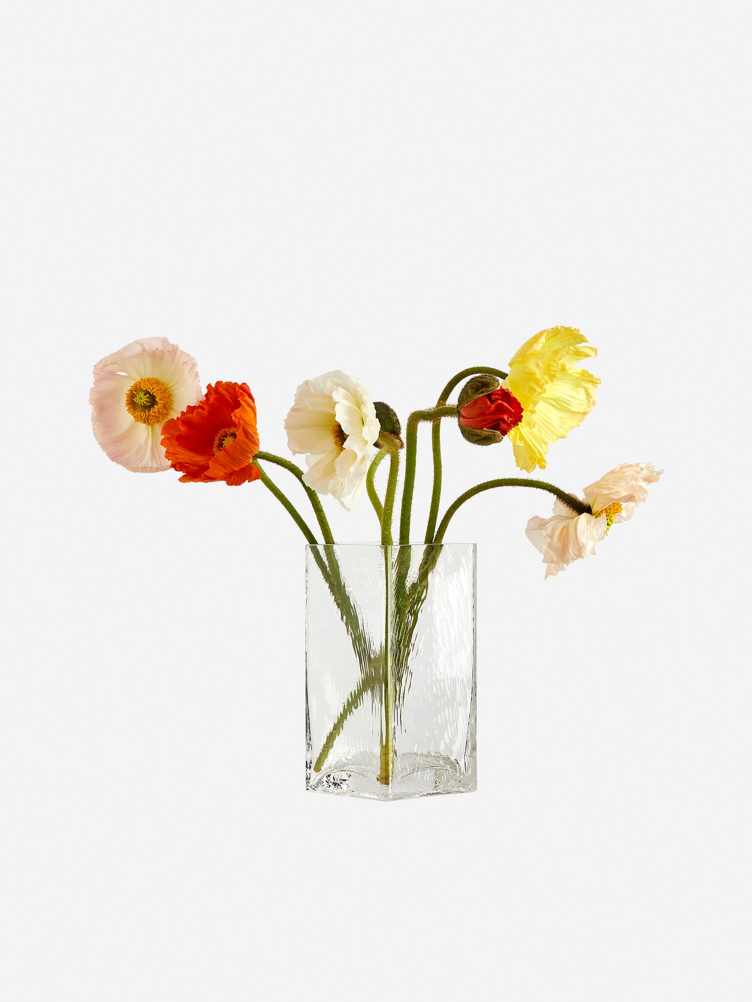 Vase en verre 18 cm - Transparent