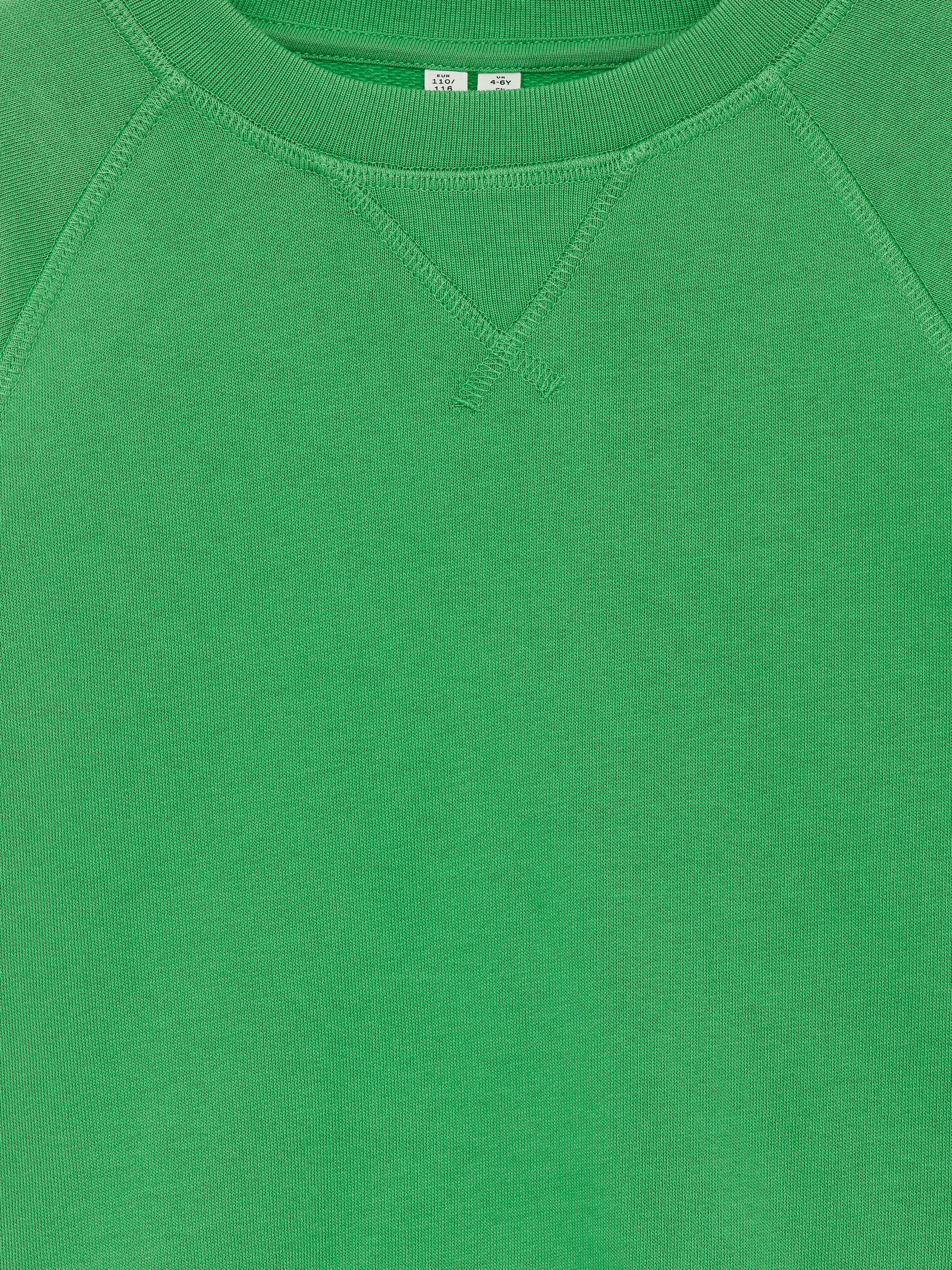 Sweatshirt i bomull - Grön - Regular fit - Children - StillMedia/DescriptiveDetail - 1