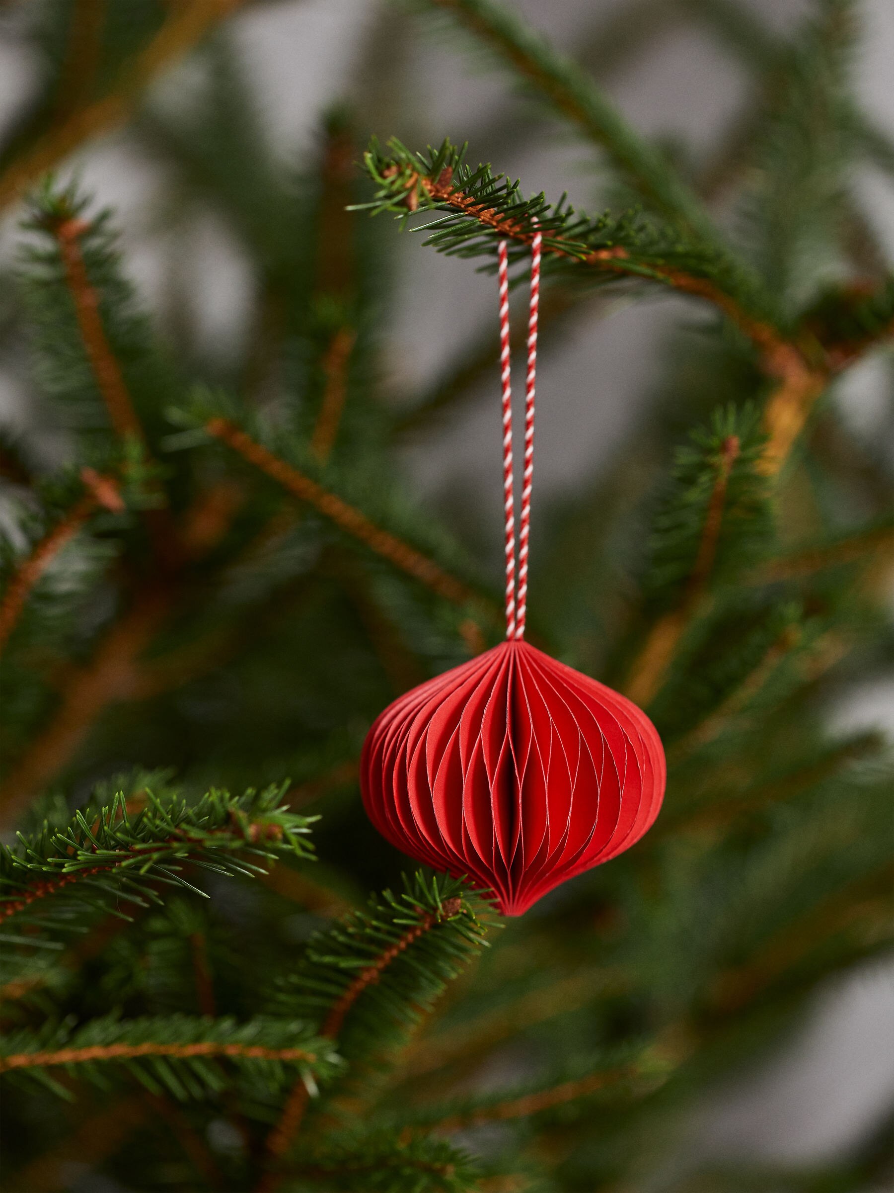 Honeycomb Ornaments Set of 2 - Red - Homeware - StillMedia/DescriptiveStillLife - 2