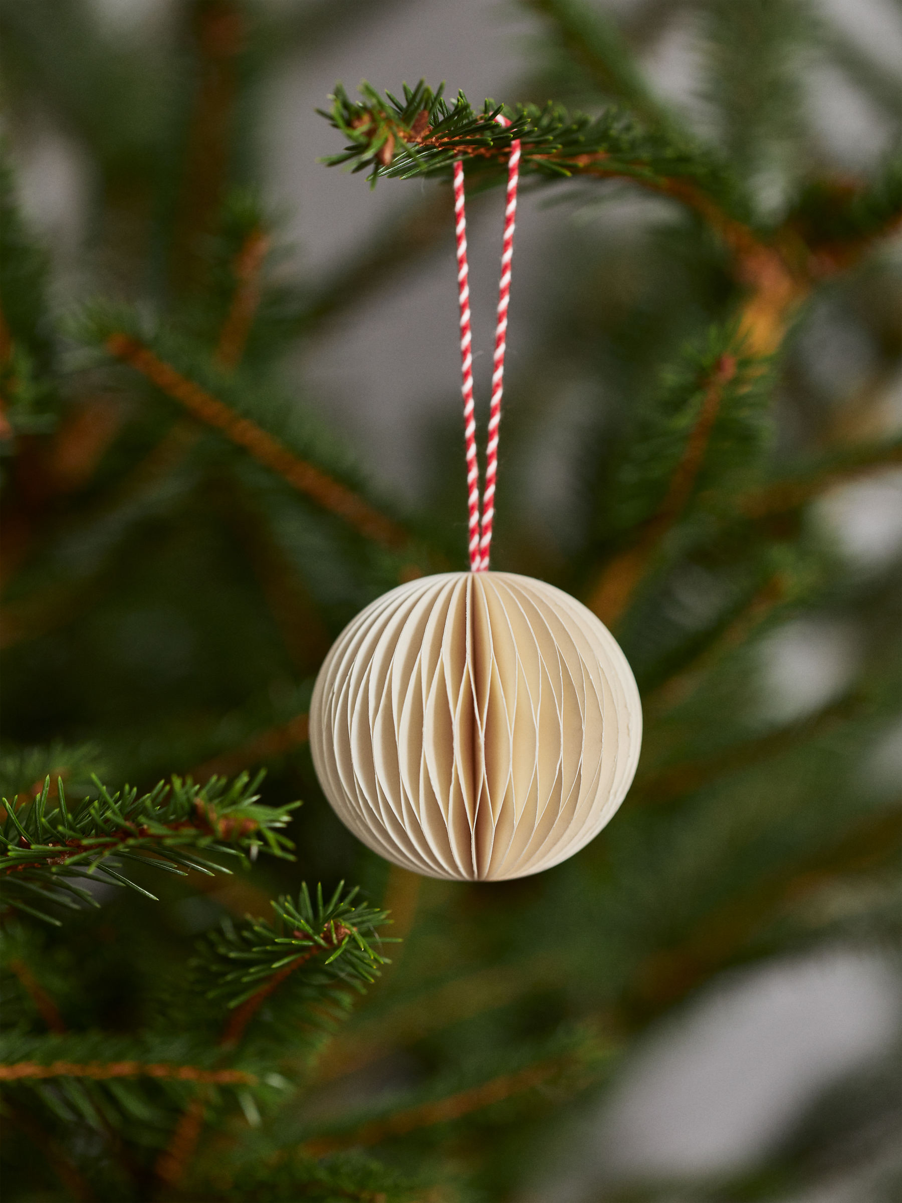 Honeycomb Ornaments Set of 2 - White - Homeware - StillMedia/DescriptiveStillLife - 2