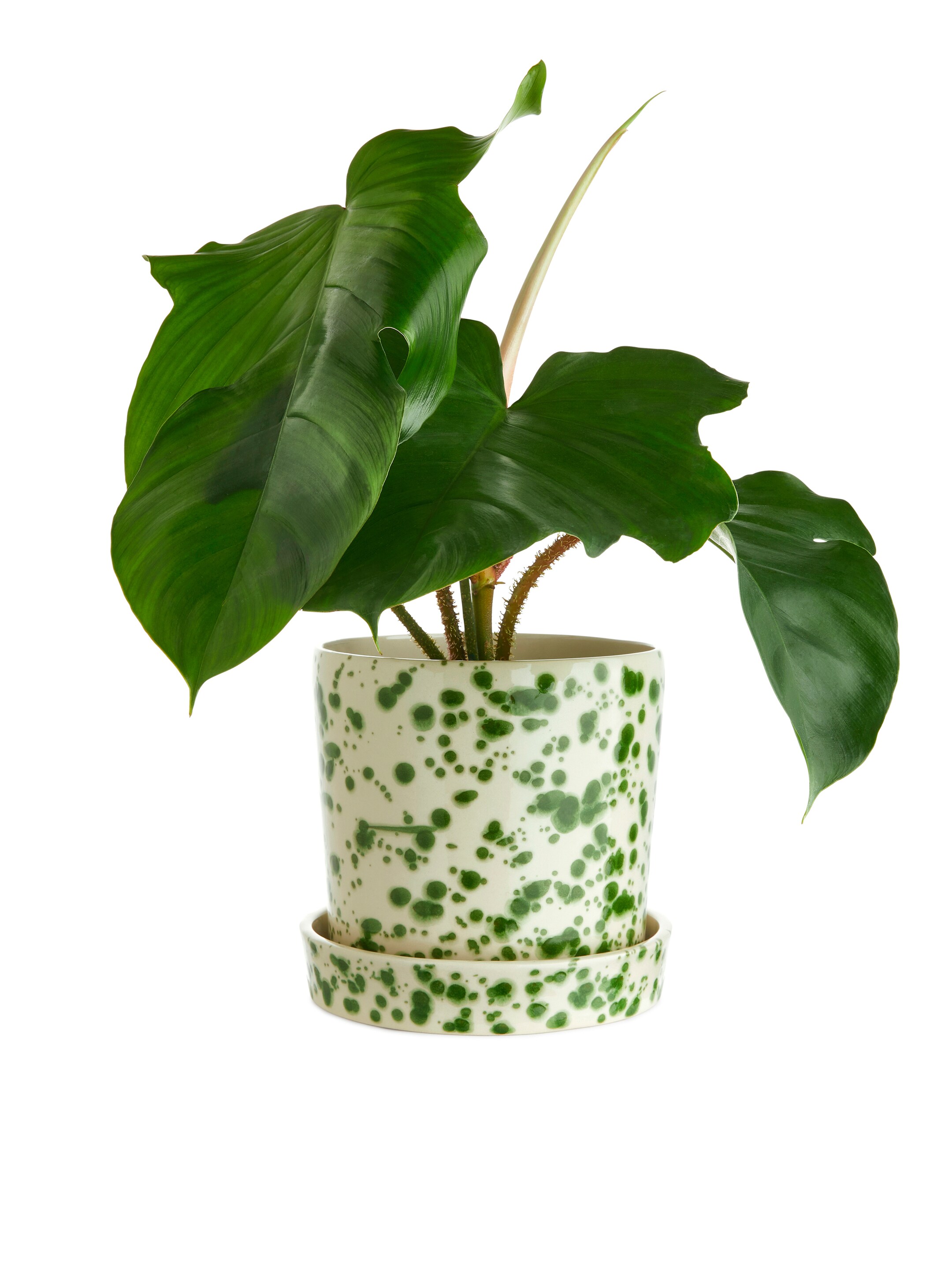 Zobacz większy obraz: Stoneware Pot 18 cm - Złamana biel/Zielony - HOME | H&M PL 2