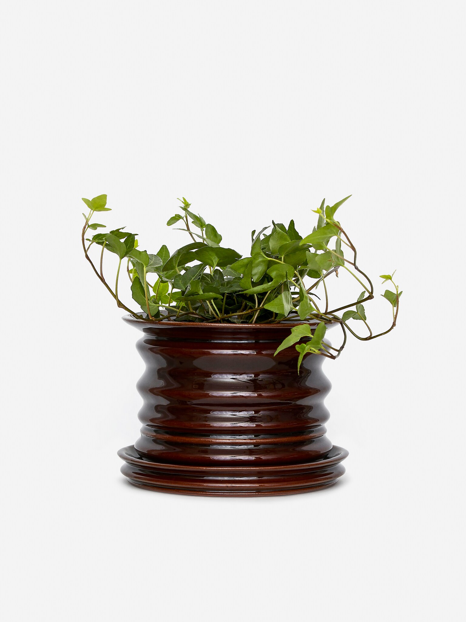 keramický kvetináč 16 cm - Tmavoružová/Čierna - 3
