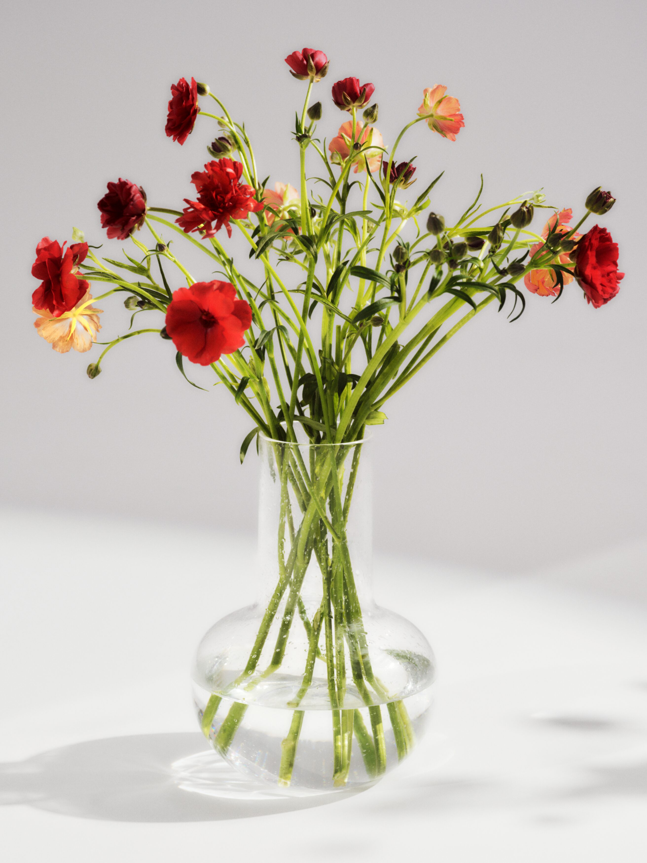 Broderade linneservetter, 2-pack.