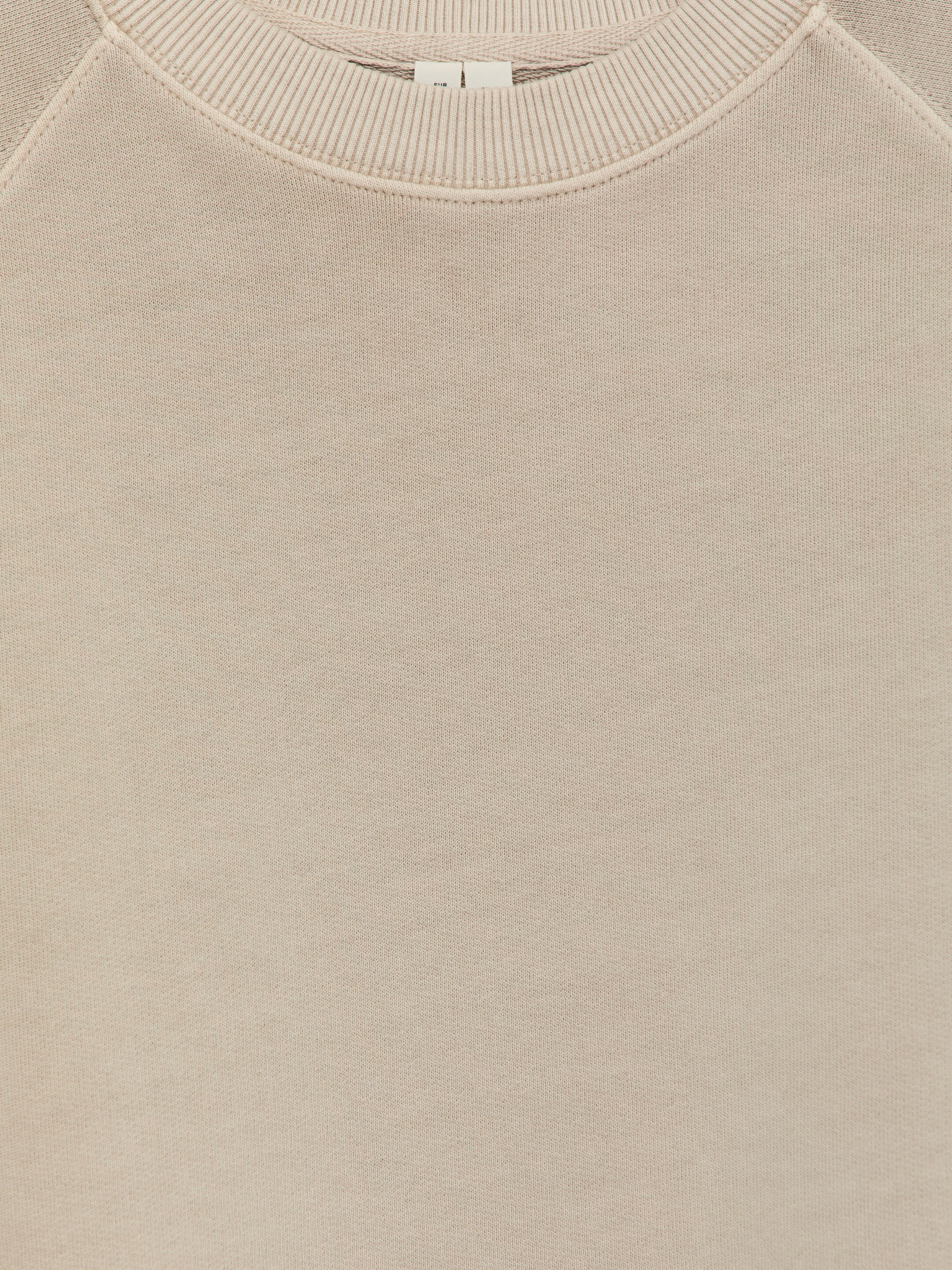 Grotere afbeelding bekijken: Een beige sweatshirt met ronde hals wordt van de VOORKANT gepresenteerd, vervaardigd uit een zachte French terry stof. Het heeft een geribbelde kraag en raglanmouwen.