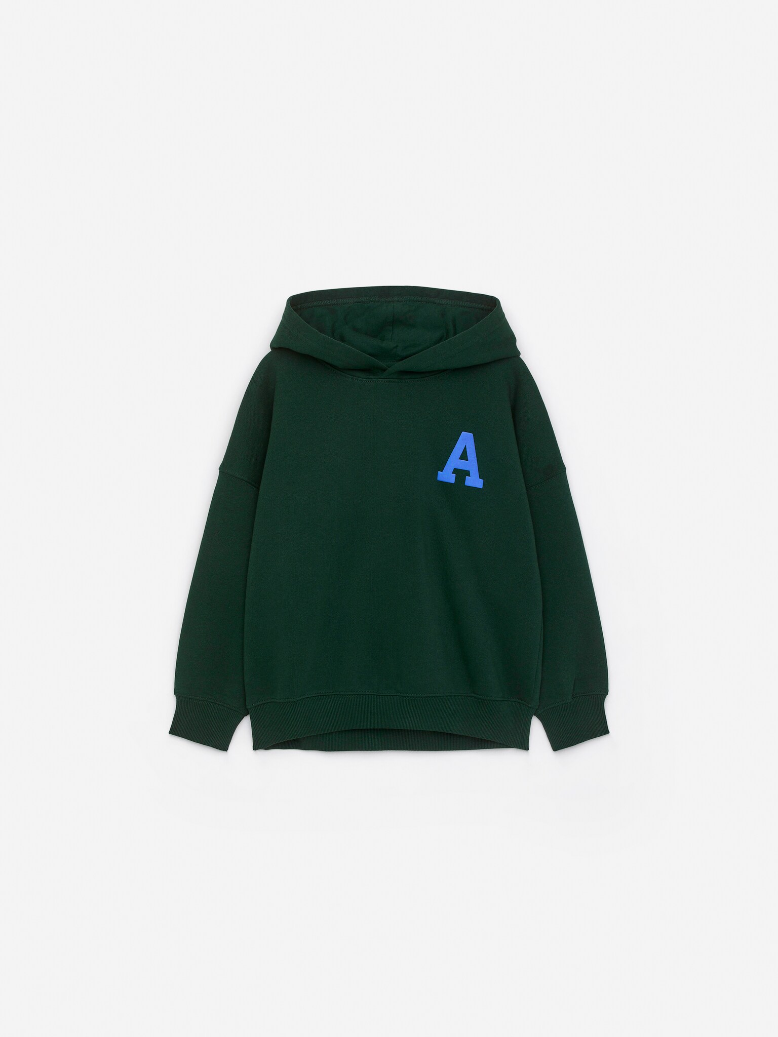 Heavyweight Hooded Sweatshirt - Dark Green/Bright Blue/Dark Blue/Green