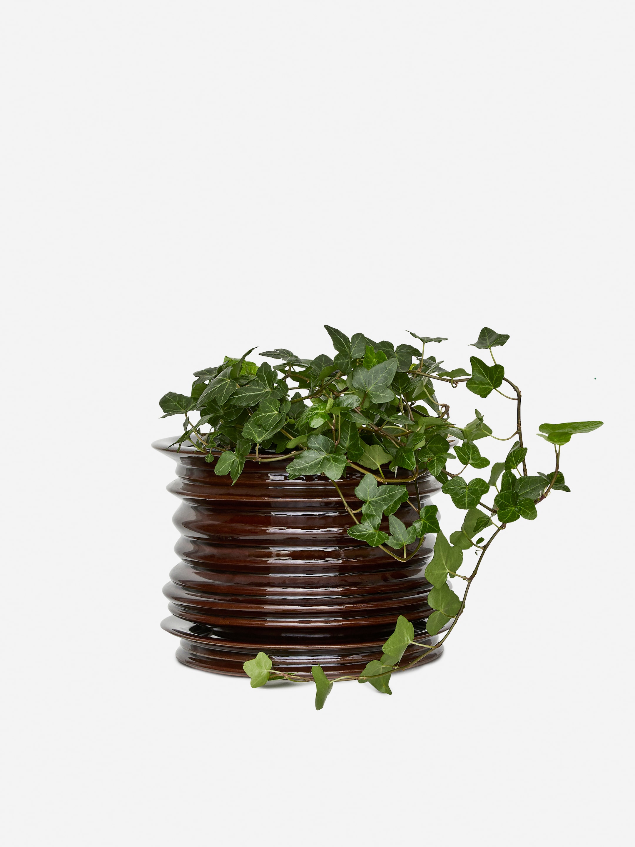 Ceramic Plant Pot 22 cm - Dark Brown - Homeware - StillMedia/DescriptiveDetail - 4
