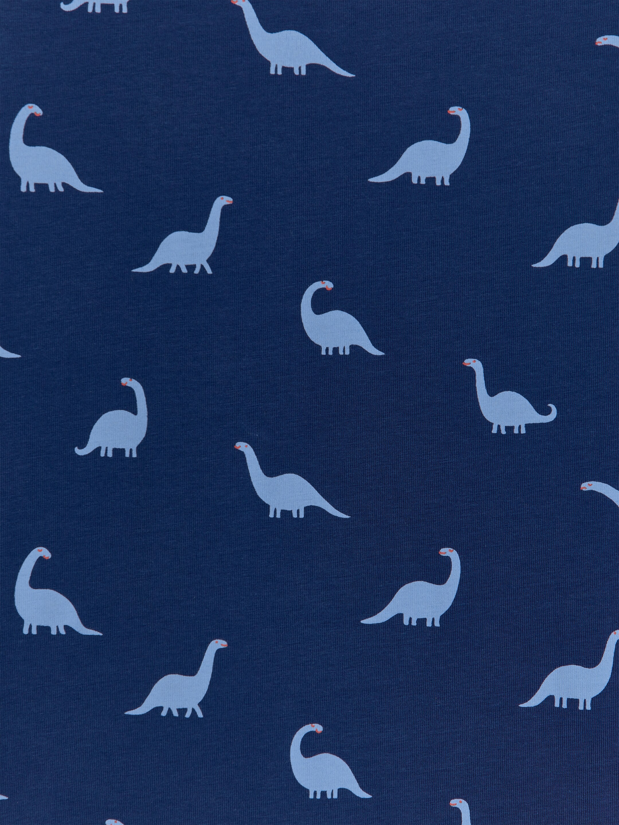 Jersey Pyjama Set - Blue/Dinosaurs - Regular fit - Children - StillMedia/DescriptiveDetail - 1