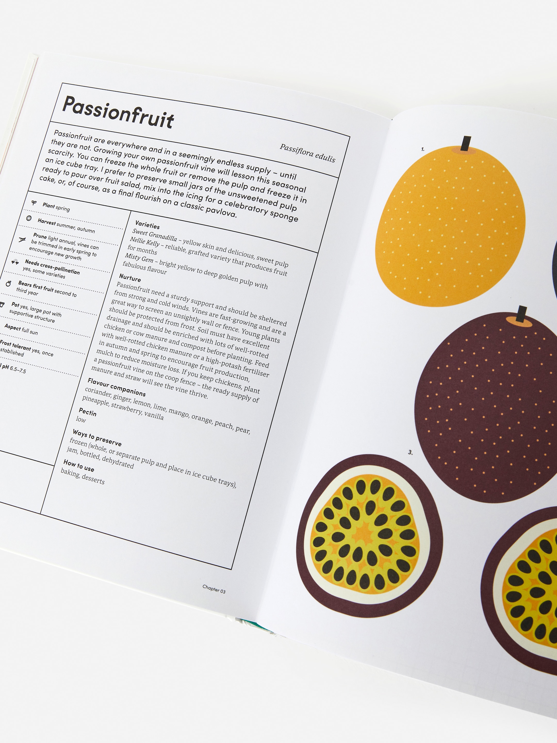 The Preserving Garden - Weiß/Grün - homeware - StillMedia/DescriptiveDetail - 1