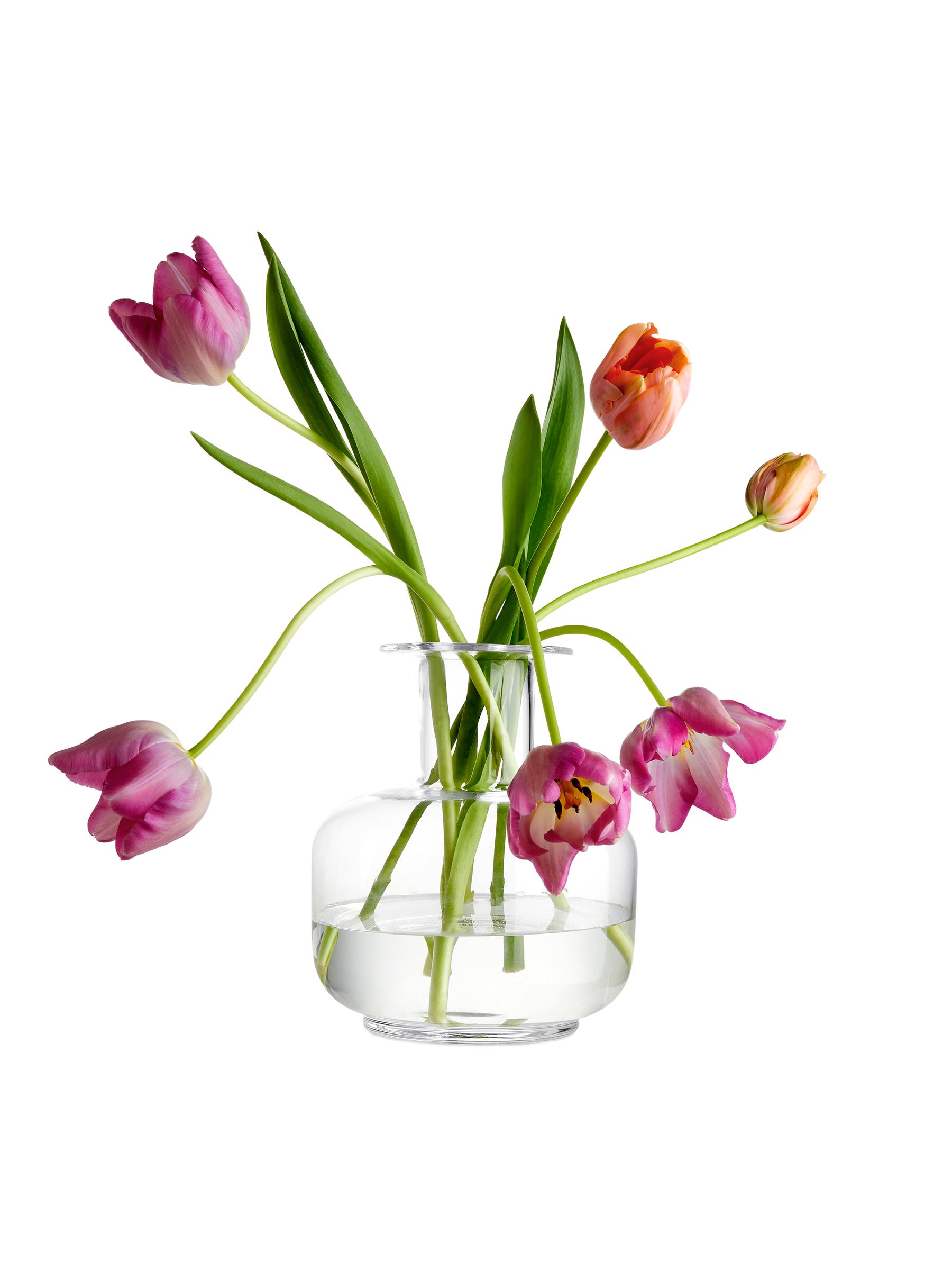 Große Vase 23  cm - Klarglas - Haushaltswaren - StillMedia/DescriptiveStillLife - 3