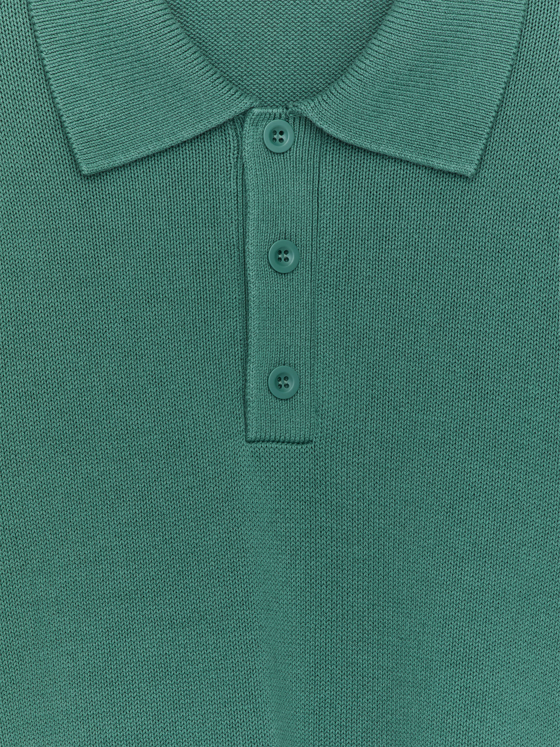 Cotton Lyocell Polo Shirt - Green - Regular fit - Men - StillMedia/DescriptiveStillLife - 1