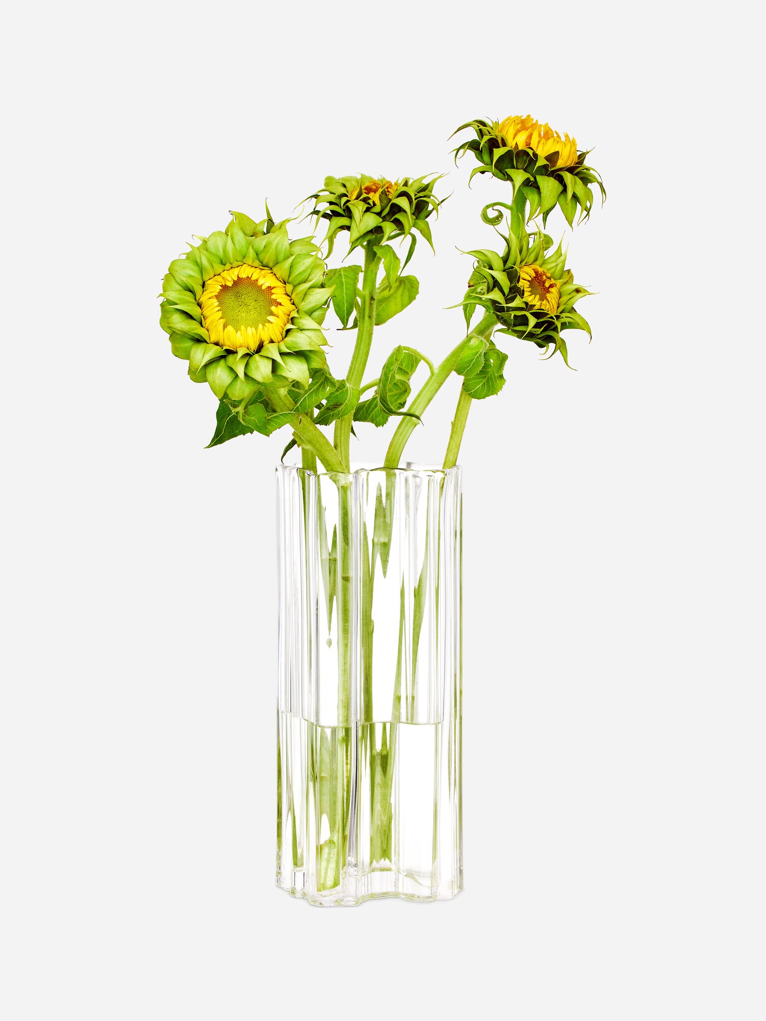 Irregular Glass Vase 25 cm - Transparant - 1