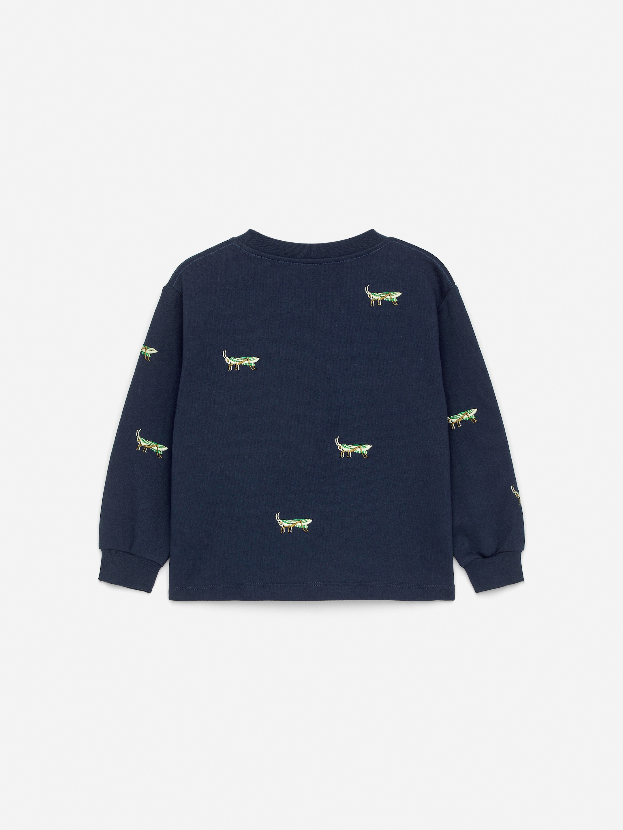 Embroidered Sweatshirt - Dark Blue - Regular fit - Children - StillMedia/DescriptiveStillLife - 1