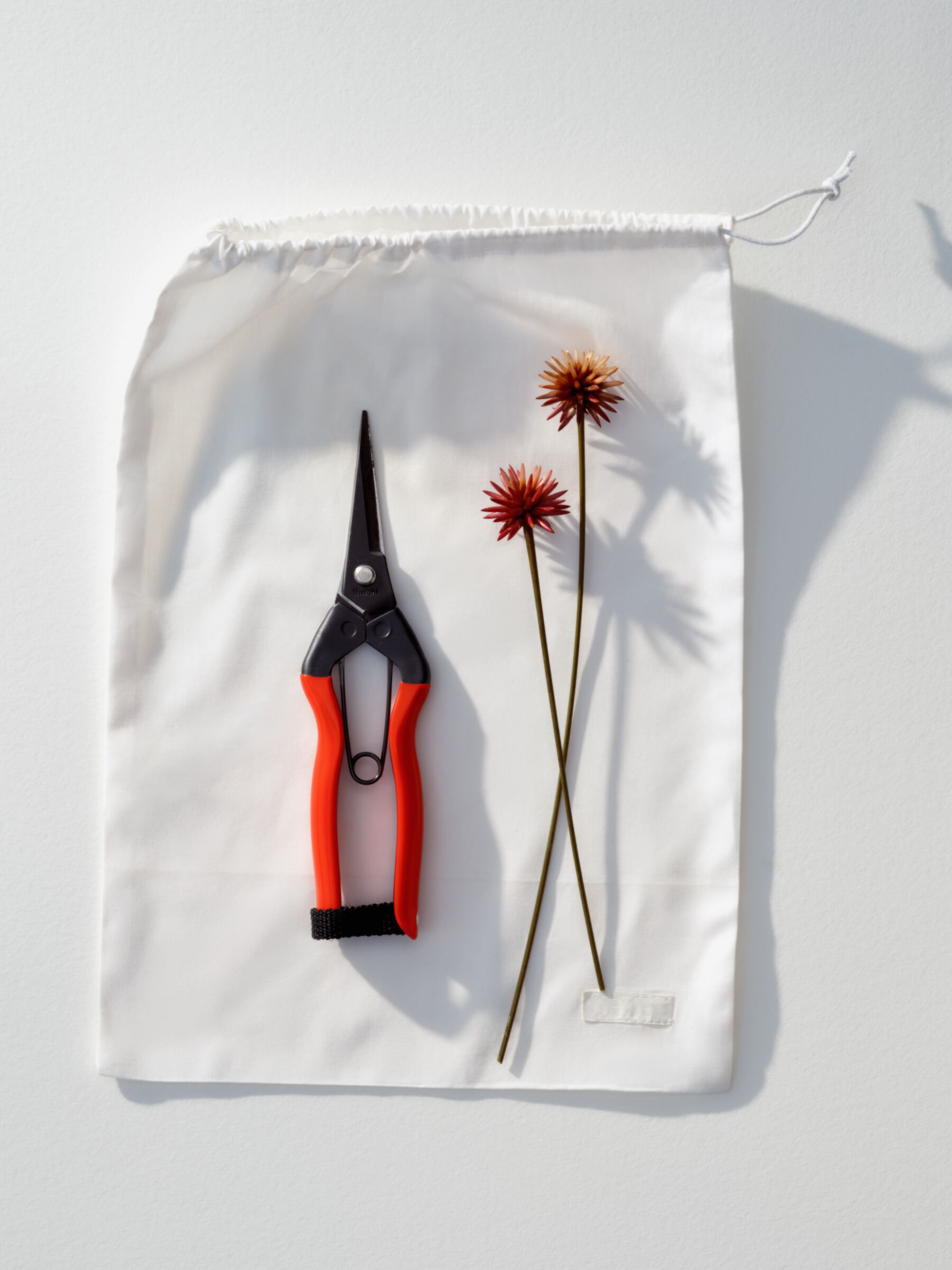 Piccole forbici da giardino Niwaki - Rosso - Homeware - StillMedia/Environmental - 1