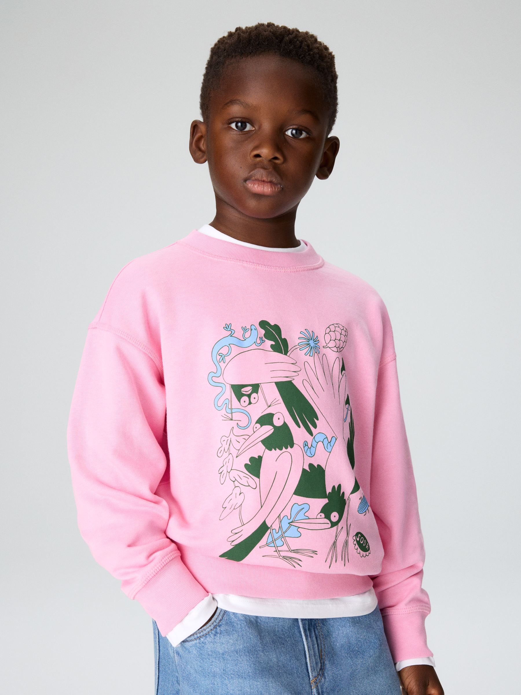 Relaxed Sweatshirt - Pink/Birds - Relaxed fit - Children - StillMedia/Environmental - 1