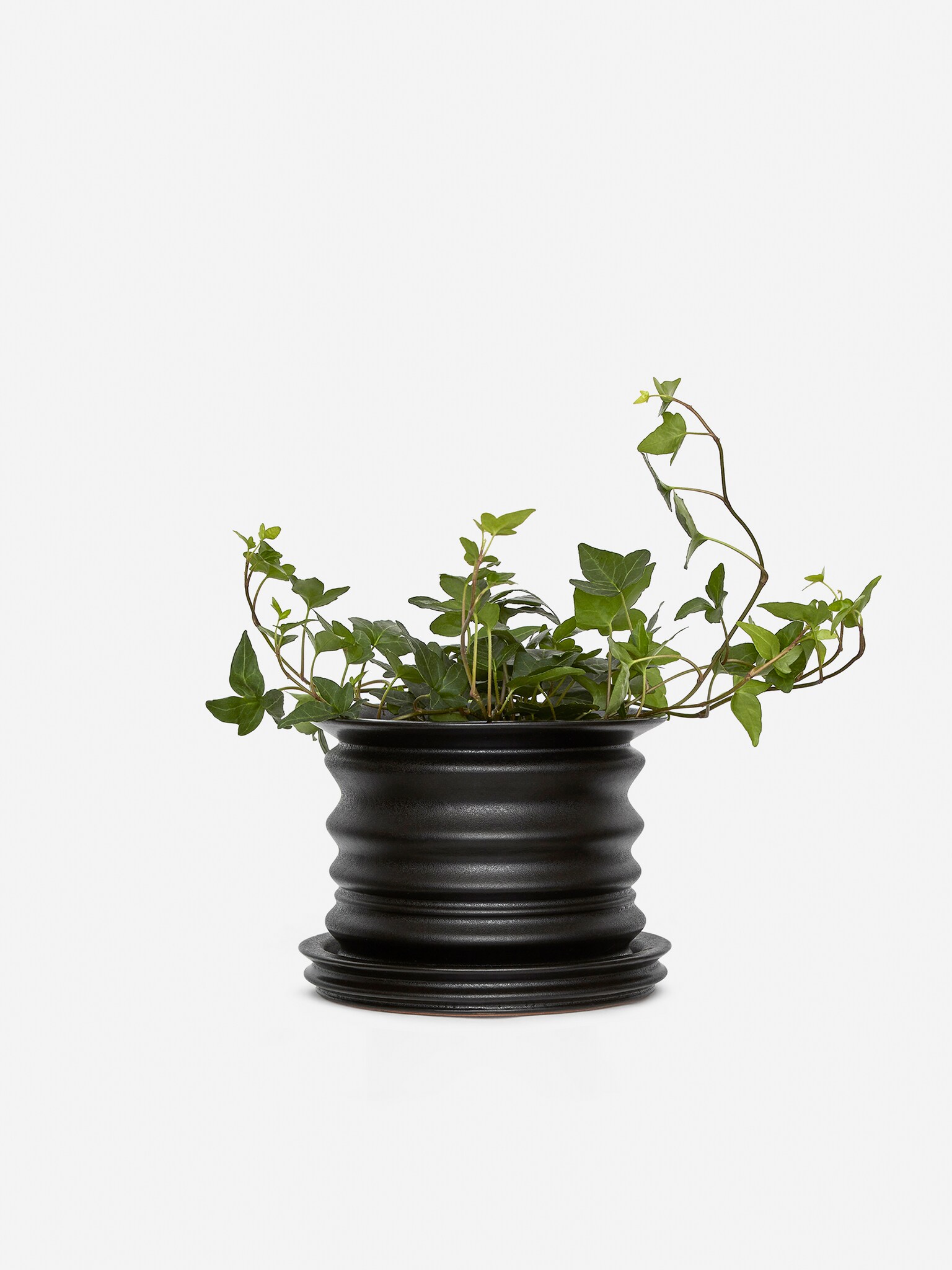 keramický kvetináč 16 cm - Čierna/Tmavoružová - 2