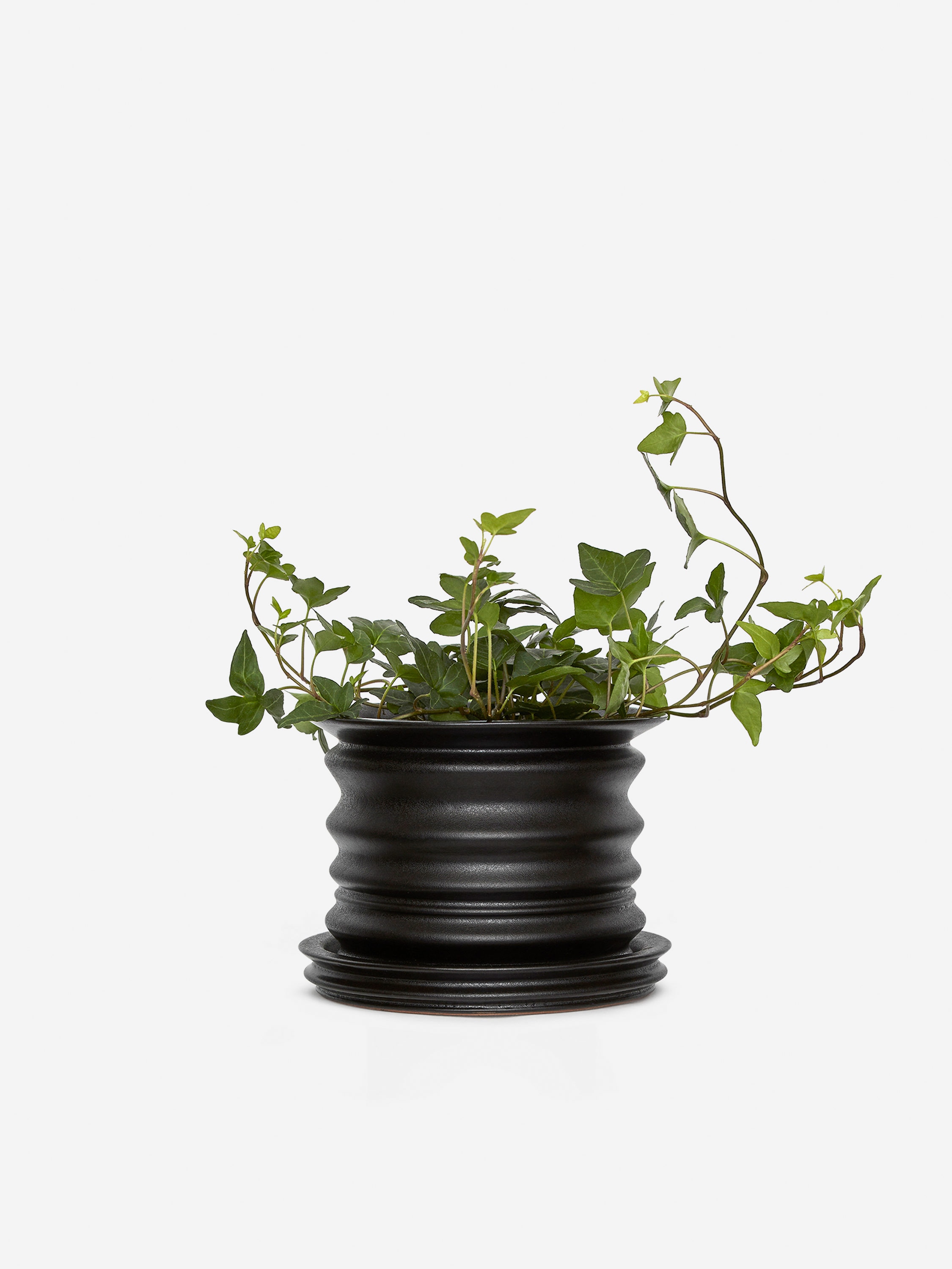 Ceramic Plant Pot 16 cm-#272627-16063