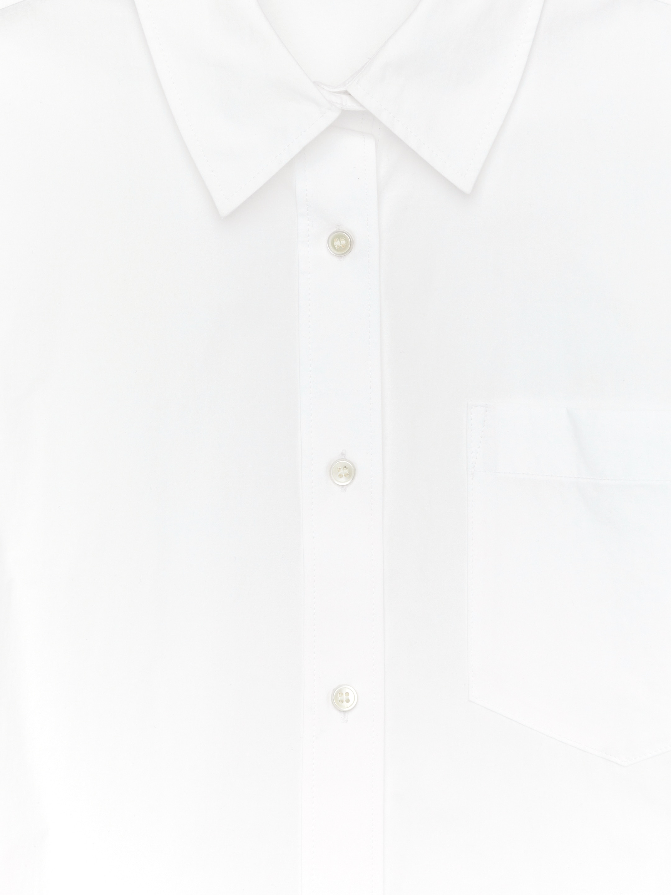 Short-Sleeve Cotton Shirt - White - Regular fit - Women - StillMedia/DescriptiveDetail - 8
