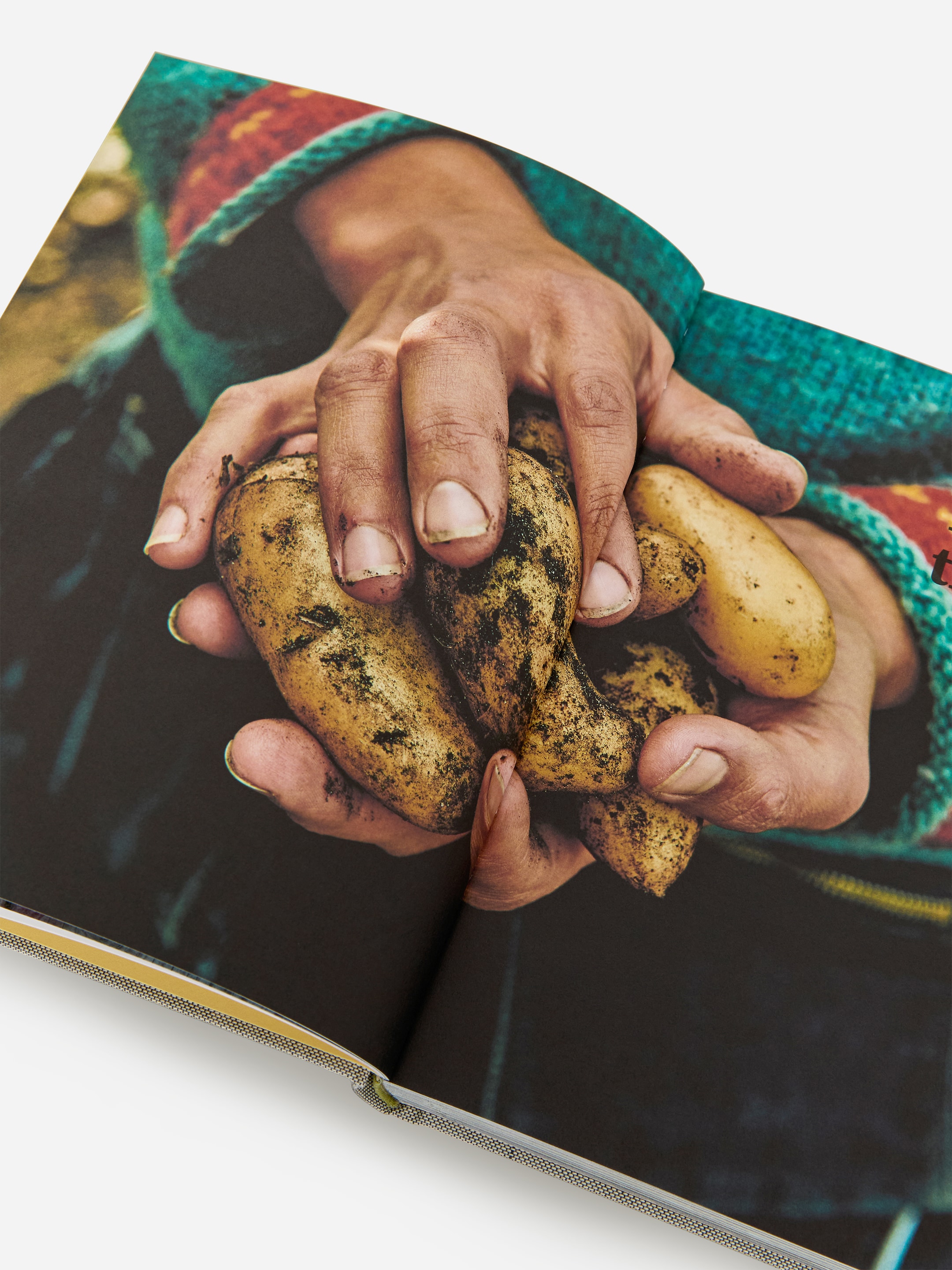 Potato Total - Vert - Maison et décoration - StillMedia/DescriptiveDetail - 1
