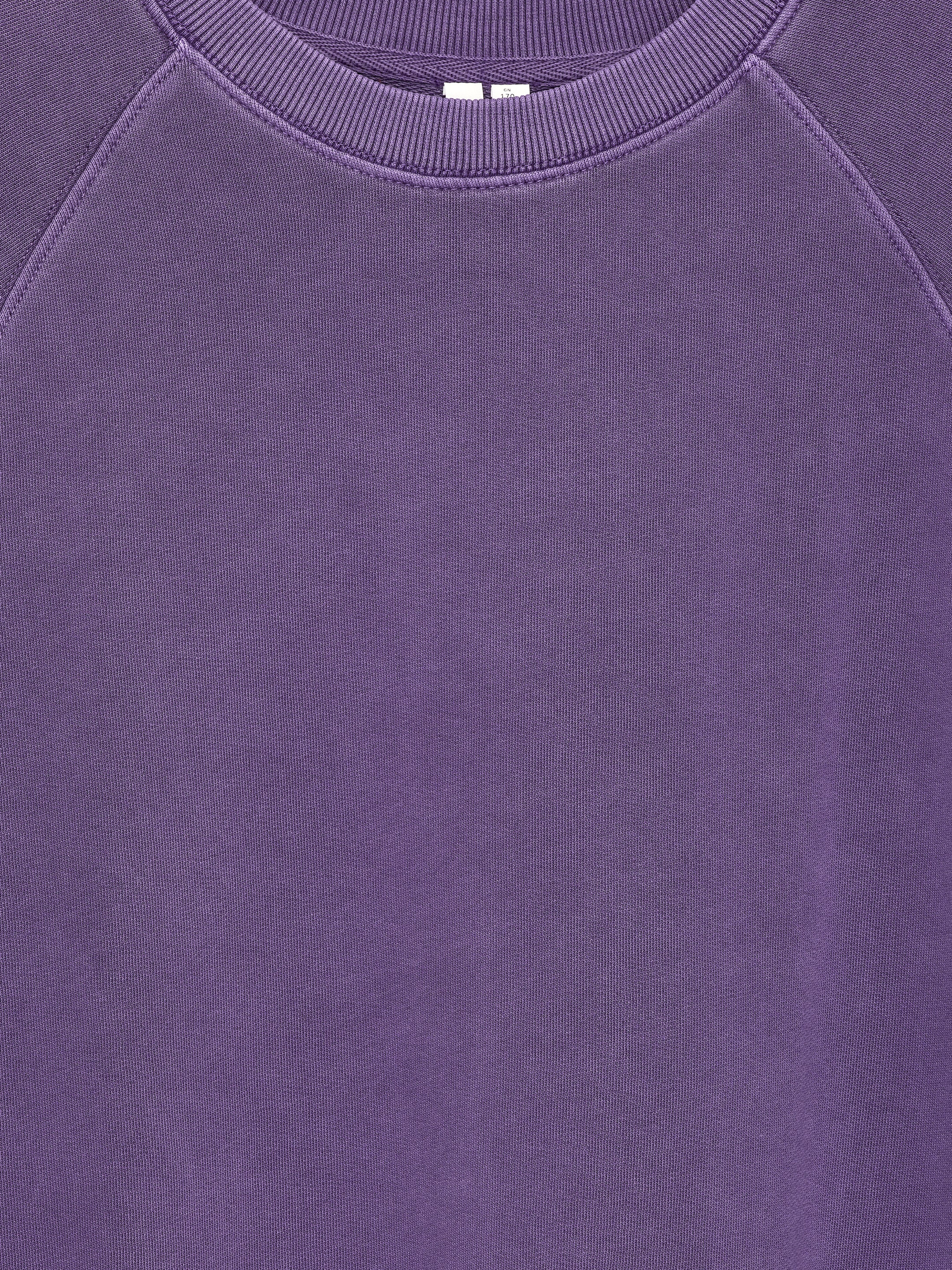 Grösseres Bild ansehen: Ein violettes Sweatshirt mit Rundhalsausschnitt, gefertigt aus weichem French-Terry-Stoff, wird von VORNE präsentiert und verfügt über Raglan-Nähte und einen gerippten Kragen.