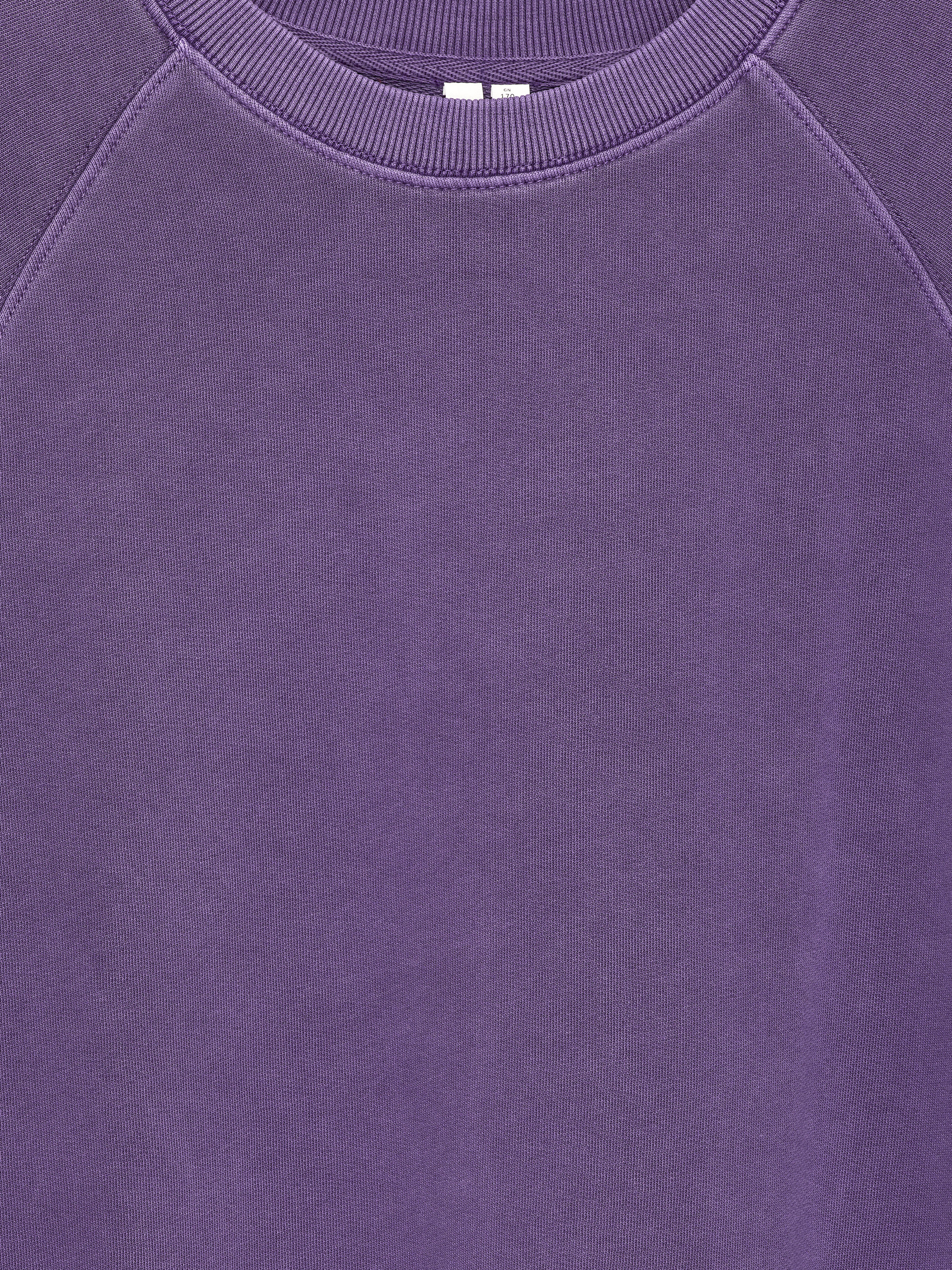 Terry Sweatshirt - Purple - Regular fit - Women - StillMedia/DescriptiveDetail - 1