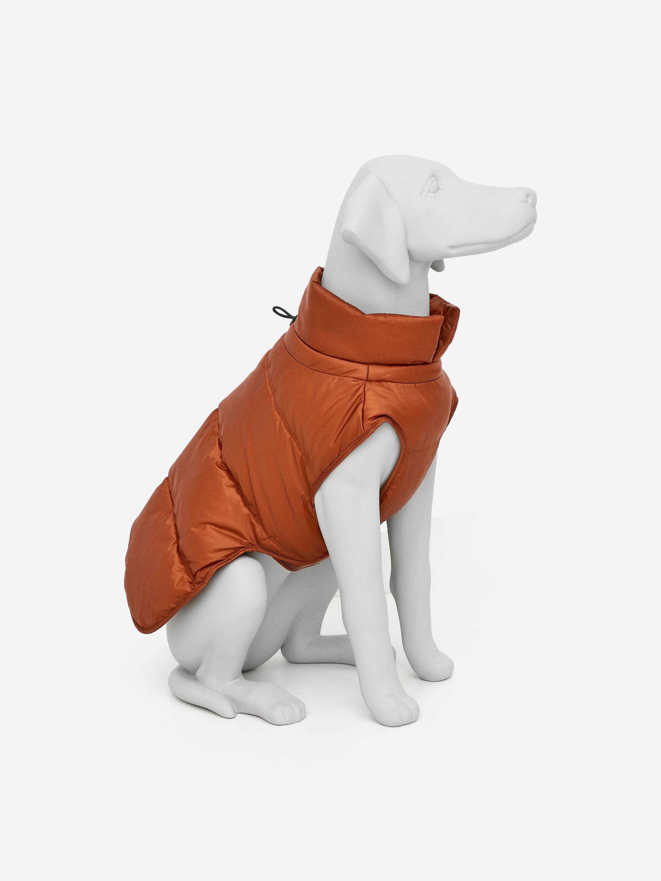 Puffy Dog Jacket-Orange-16944