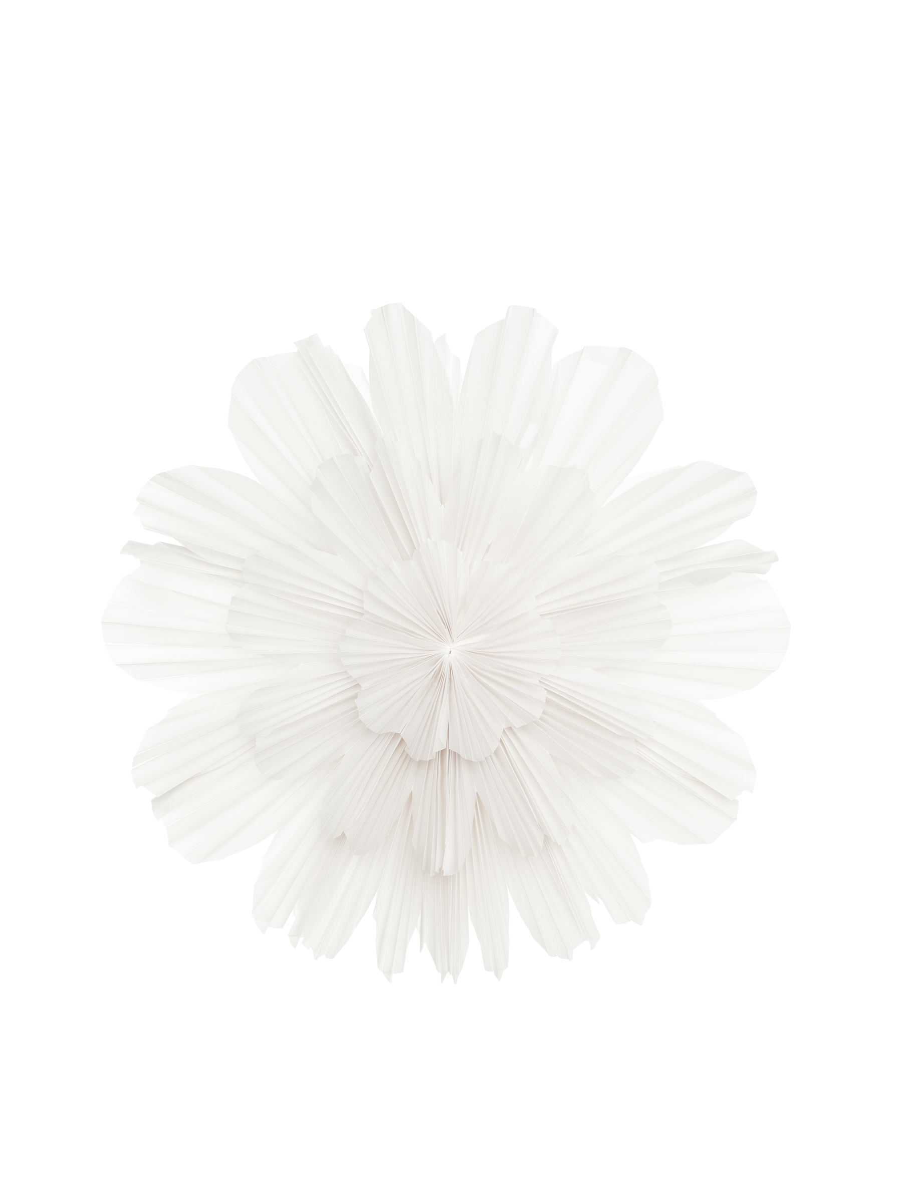 Papierstern Snöblomma von Watt & Veke - Weiß - Haushaltswaren - StillMedia/DescriptiveStillLife - 2