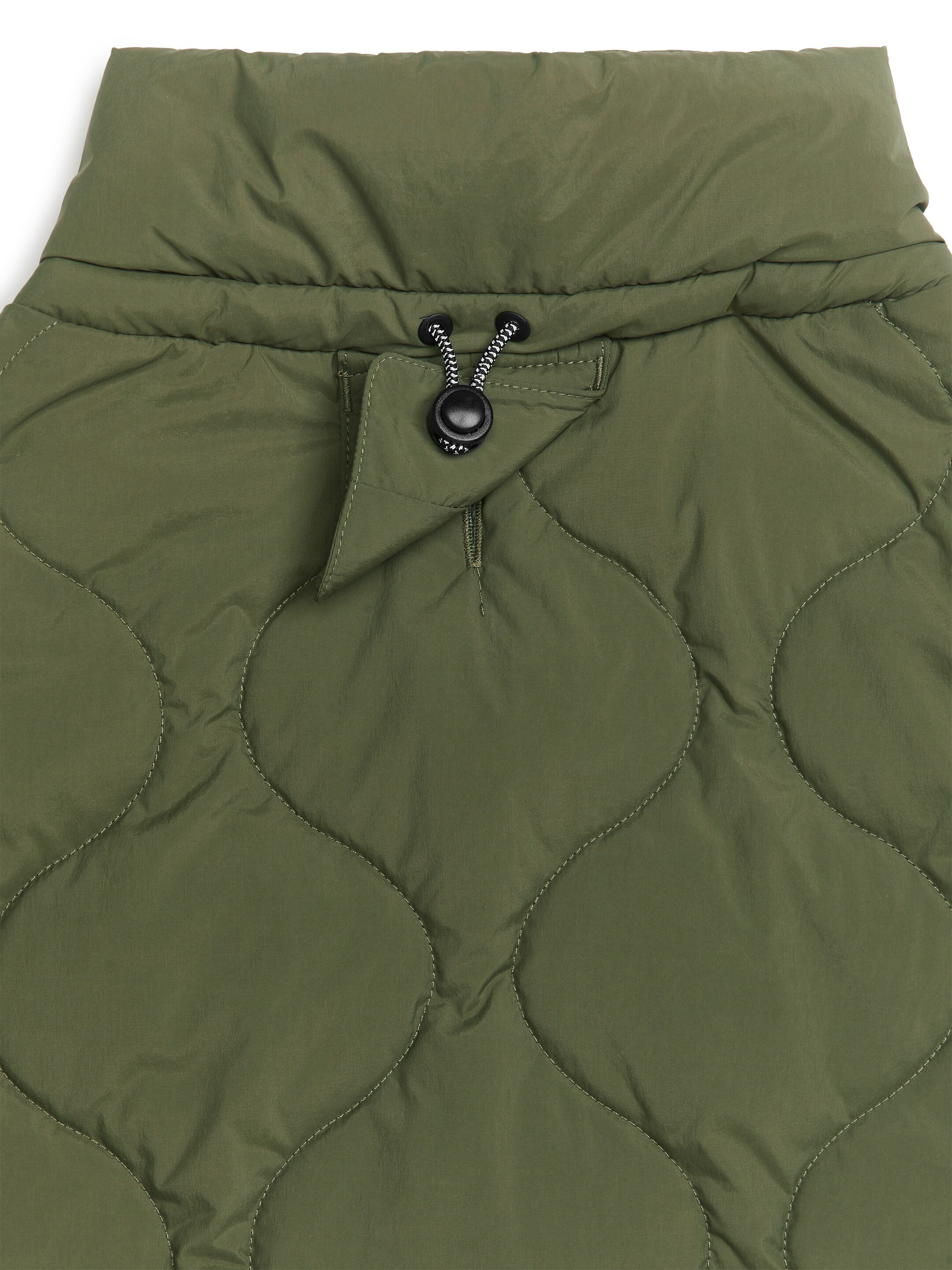 Größeres Bild ansehen: Steppjacke für Hunde - Grün | H&M DE 4
