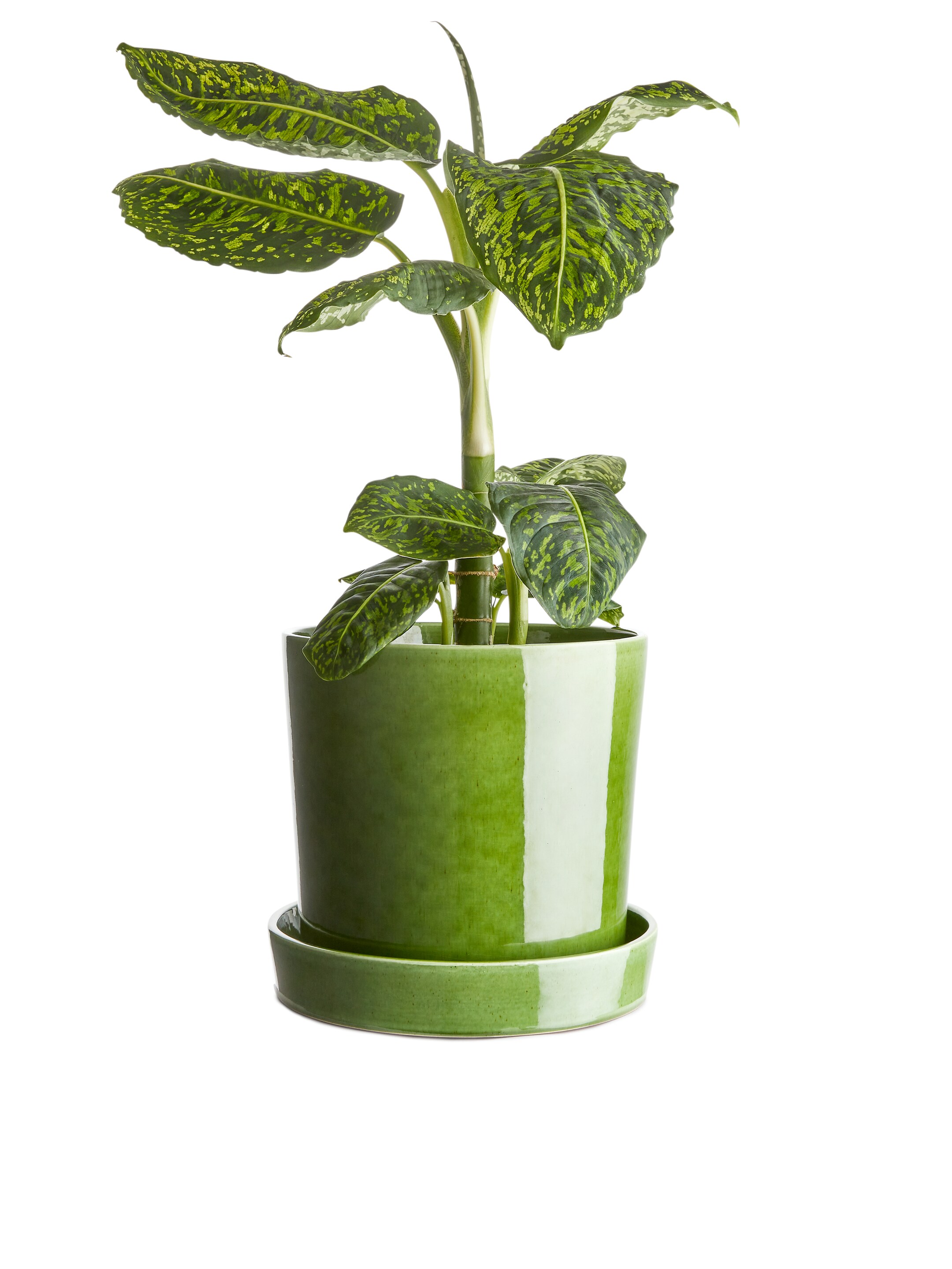 Größeres Bild ansehen: Blumentopf aus Steingut, 22 cm - Green - Home All | H&M DE 2