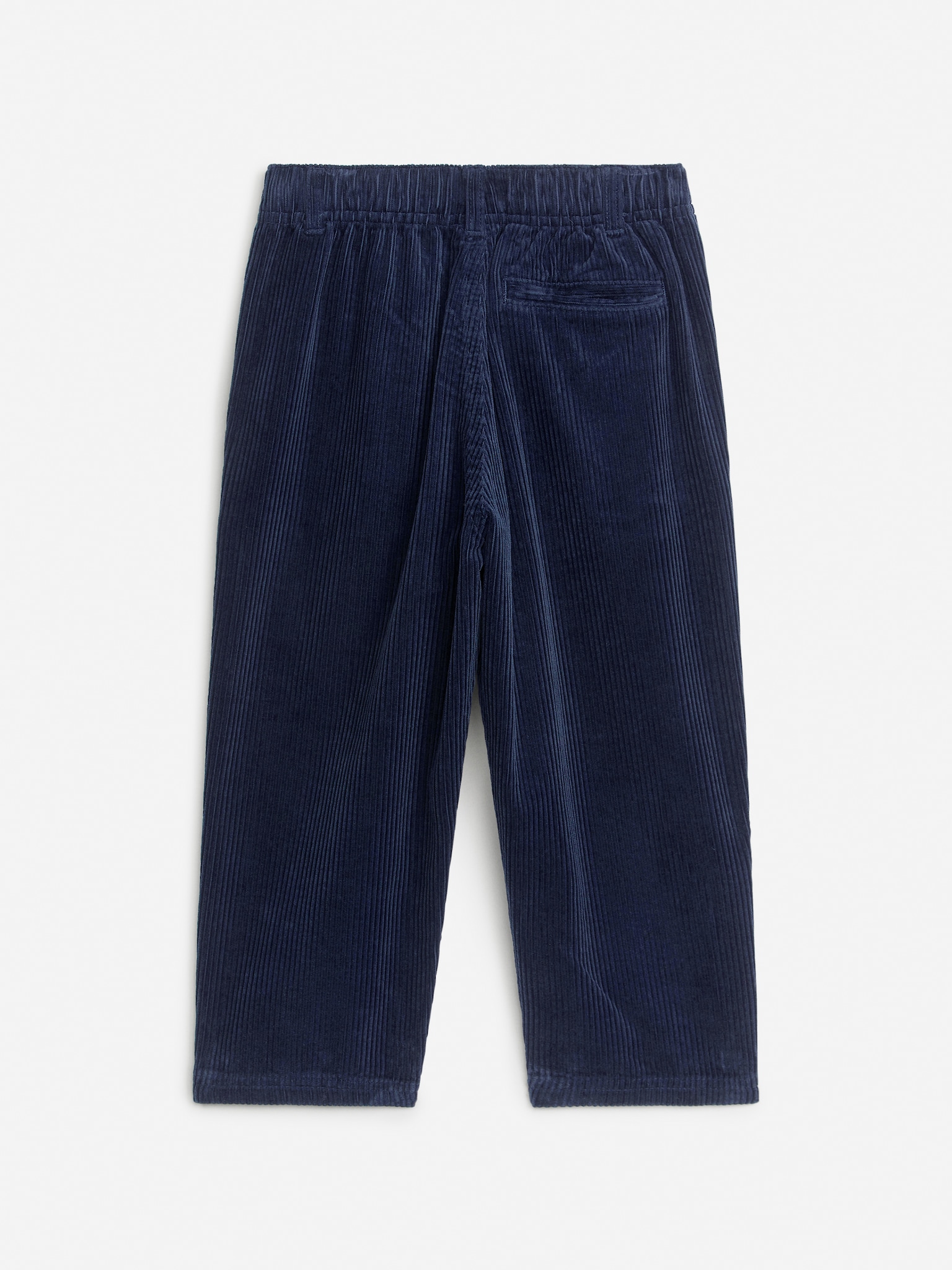 Pantalones de pana - Azul oscuro/Topo oscuro - 2